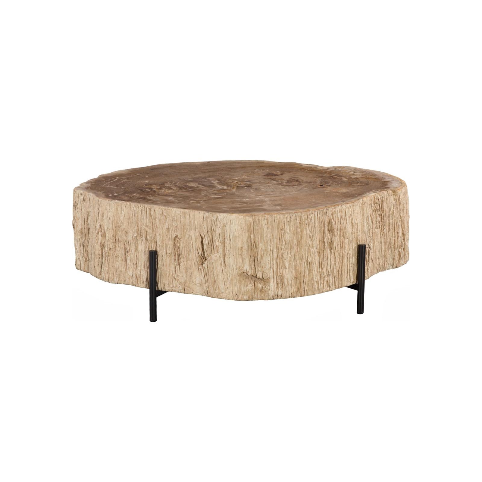Chaka Petrified Coffee Table with Black Legs