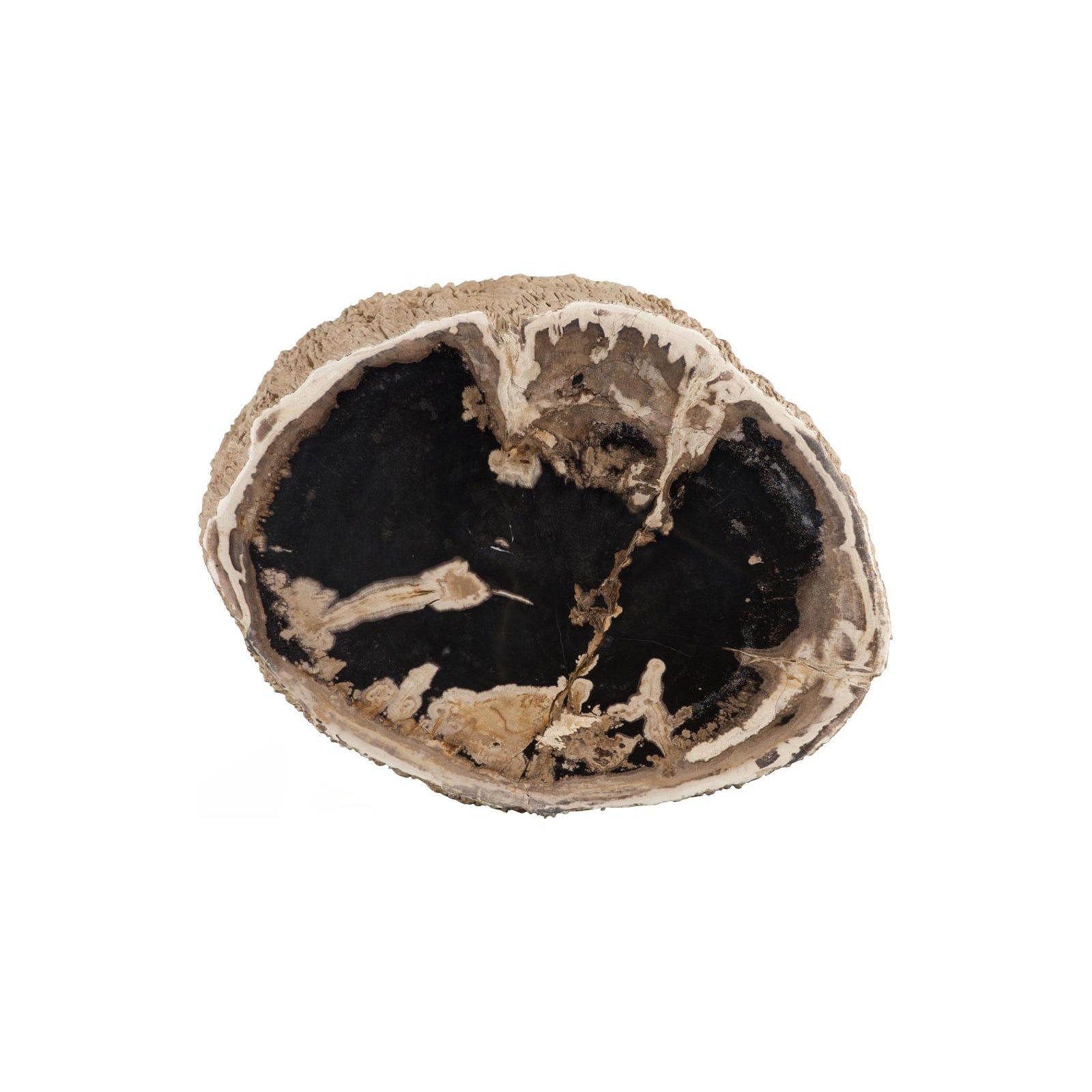Chaka Petrified Stool