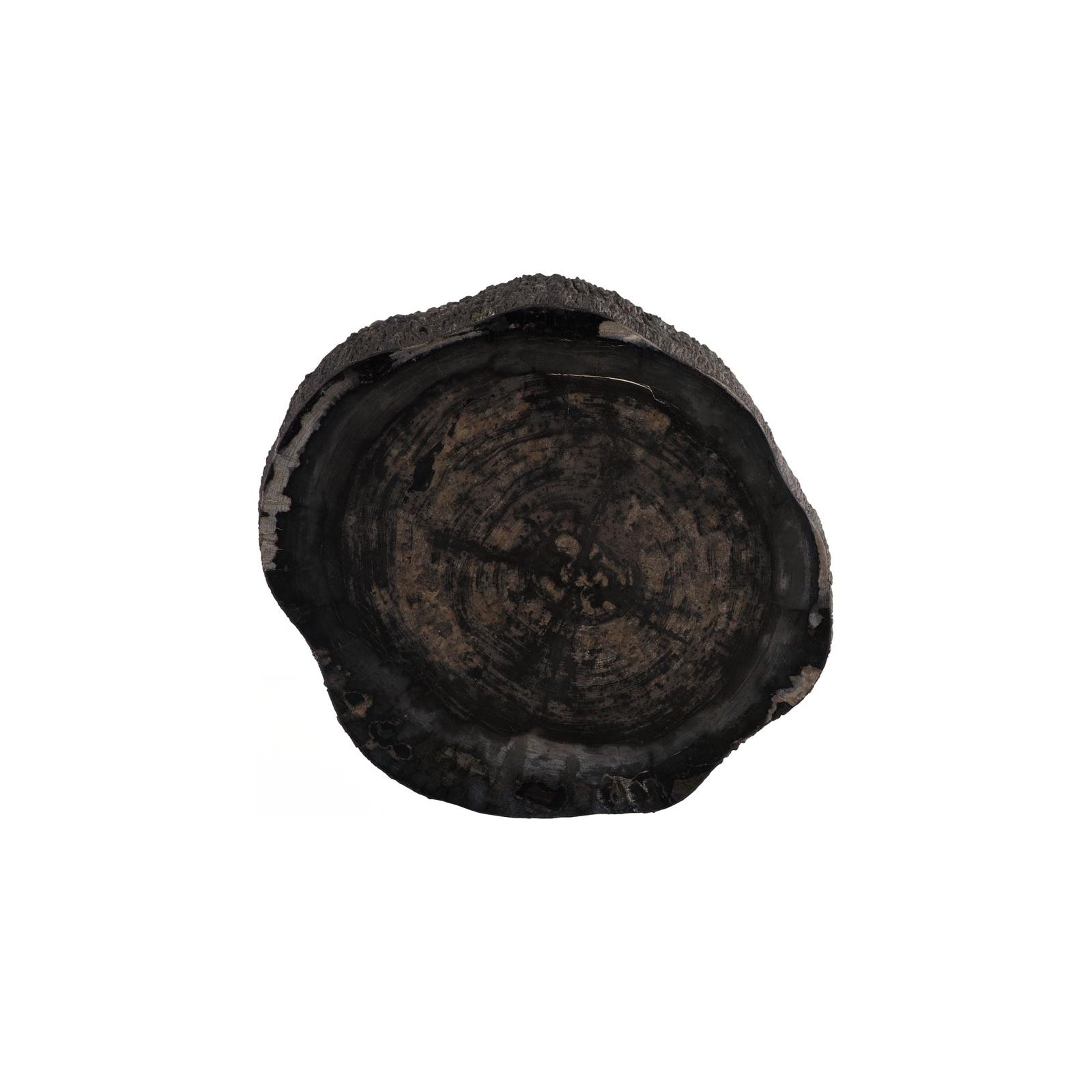 Chaka Petrified Coffee Table - Black