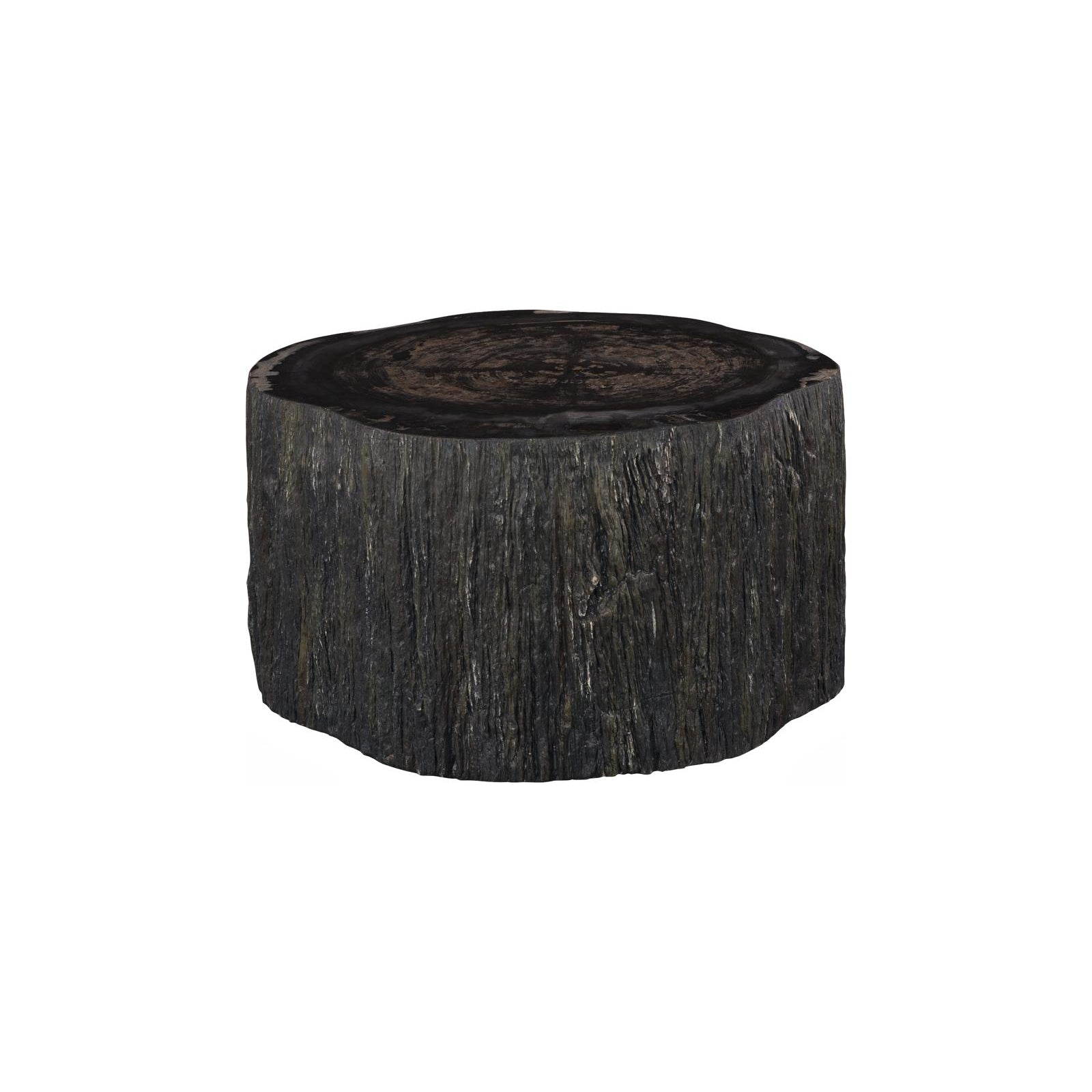 Chaka Petrified Coffee Table - Black