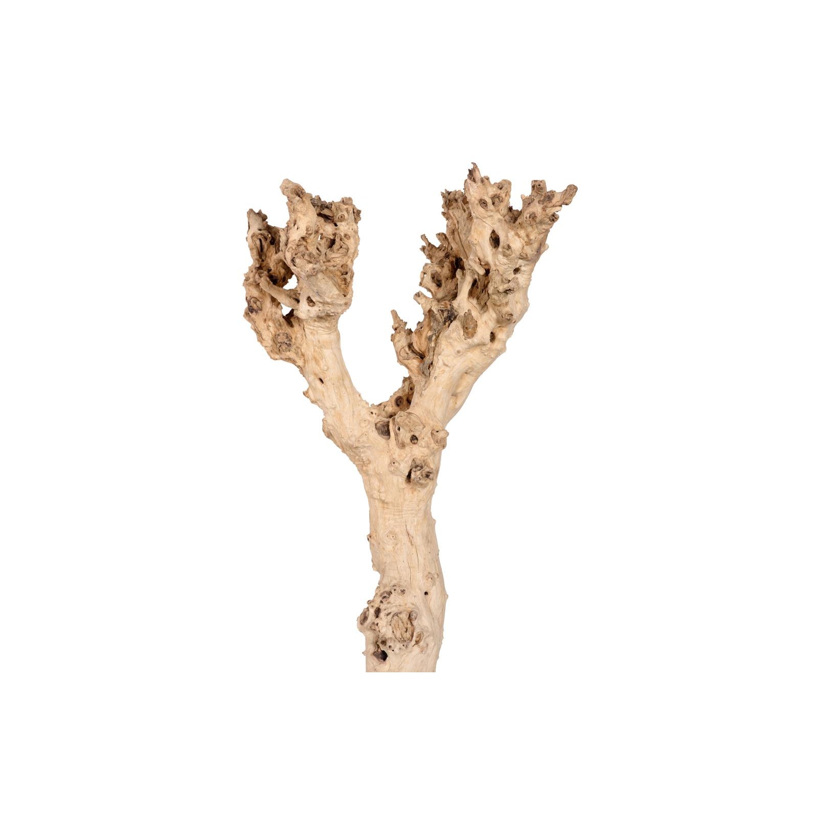 Wood Sculpture