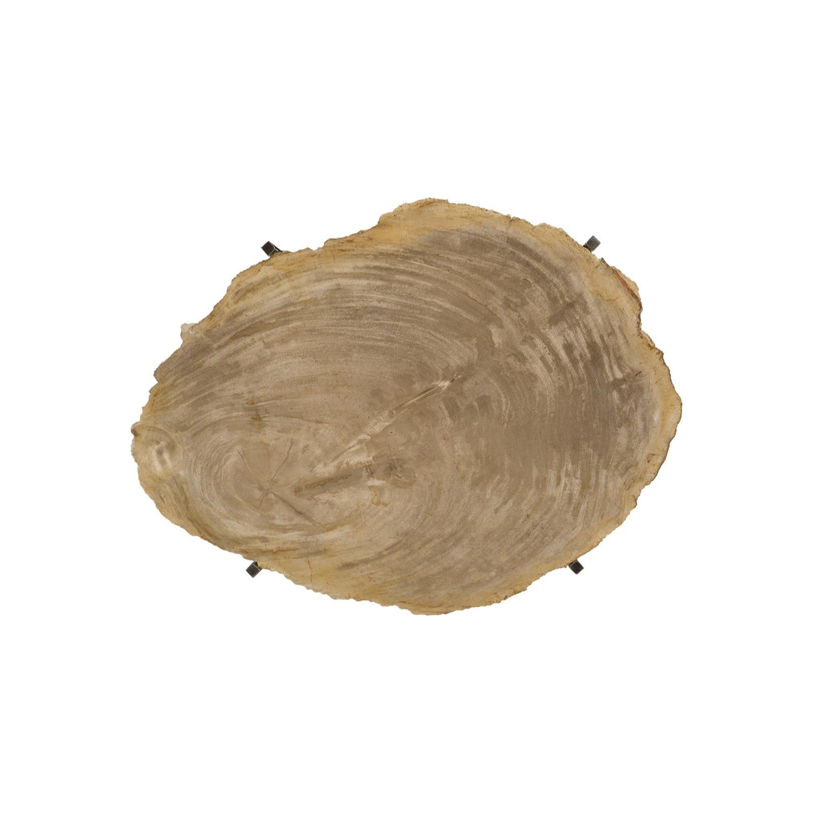 Petrified Wood Tray
