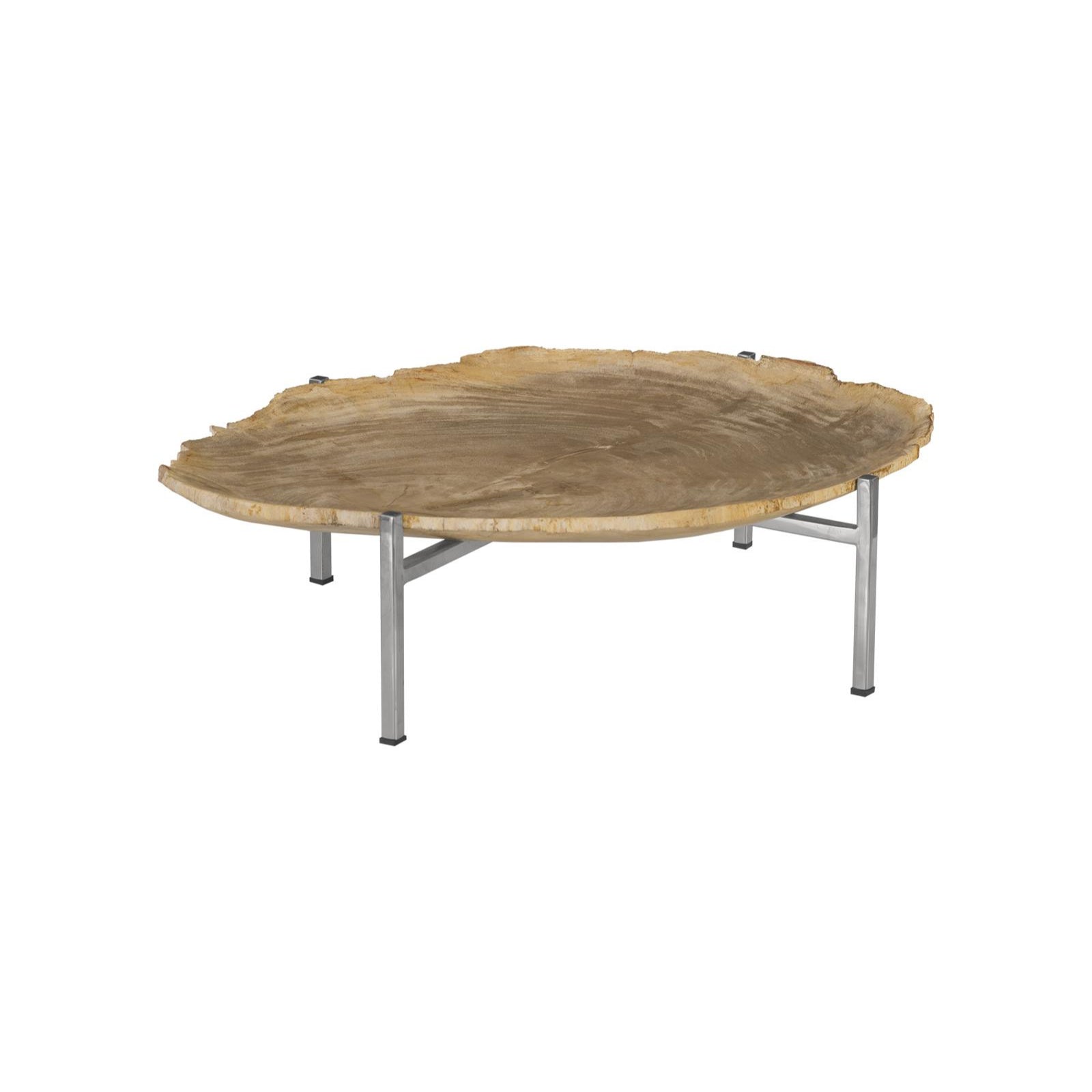 Petrified Wood Tray