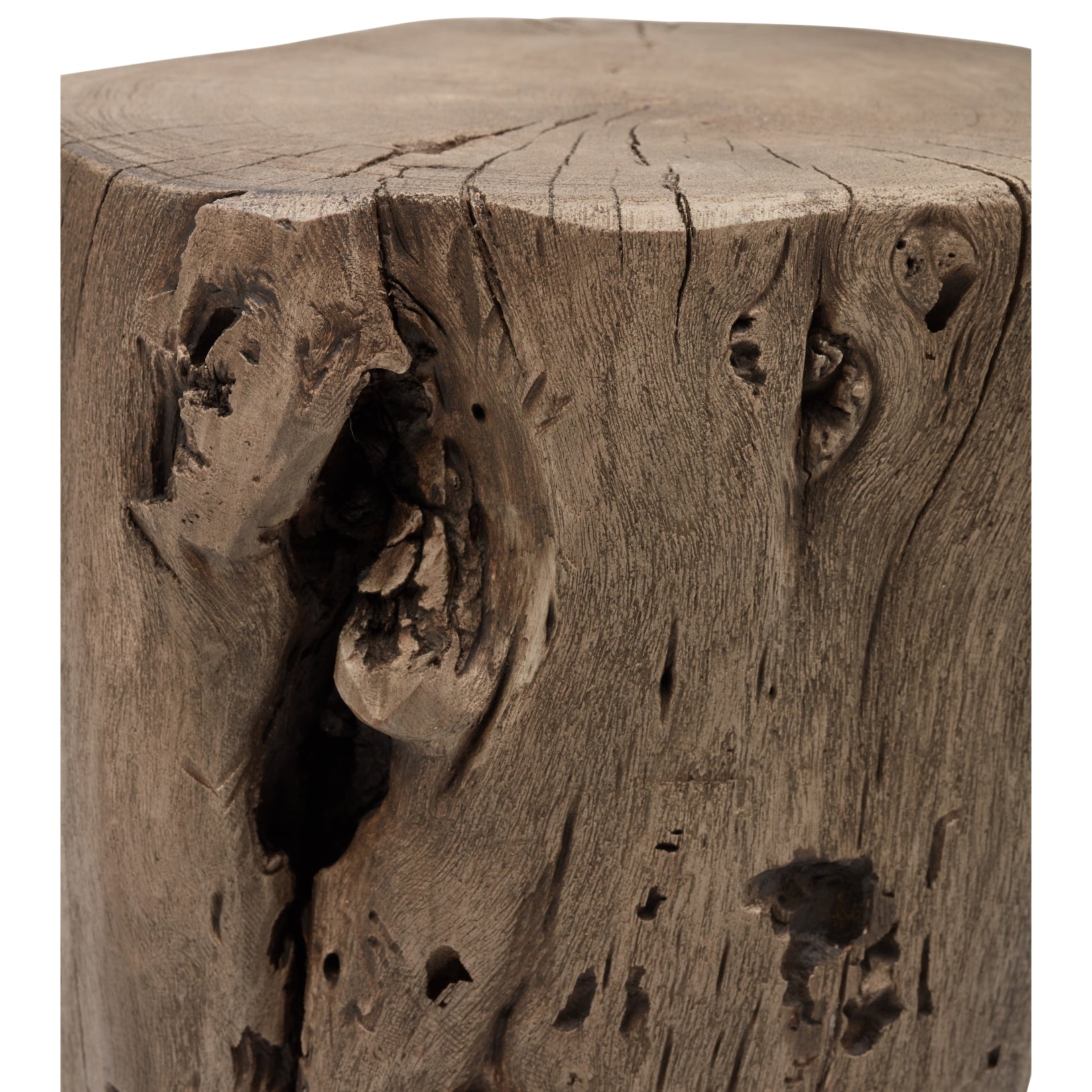 Solid Wood Stump Side & End Tables Urbia , Black Friday Sale Urbia Furniture Sale, Old Bones Co, Mid Century Furniture Sale, Four Hands Furniture, Black Friday Sale Solid Wood Stump,Gus Sale, Perigold Solid Wood Stump Side & End Tables Black Friday Sale , Perigold Sale Solid Wood Stump,Solid Wood Stump Lulu and Georgia, Burke Decor Sale Solid Wood Stump, www.oldbonesco.com