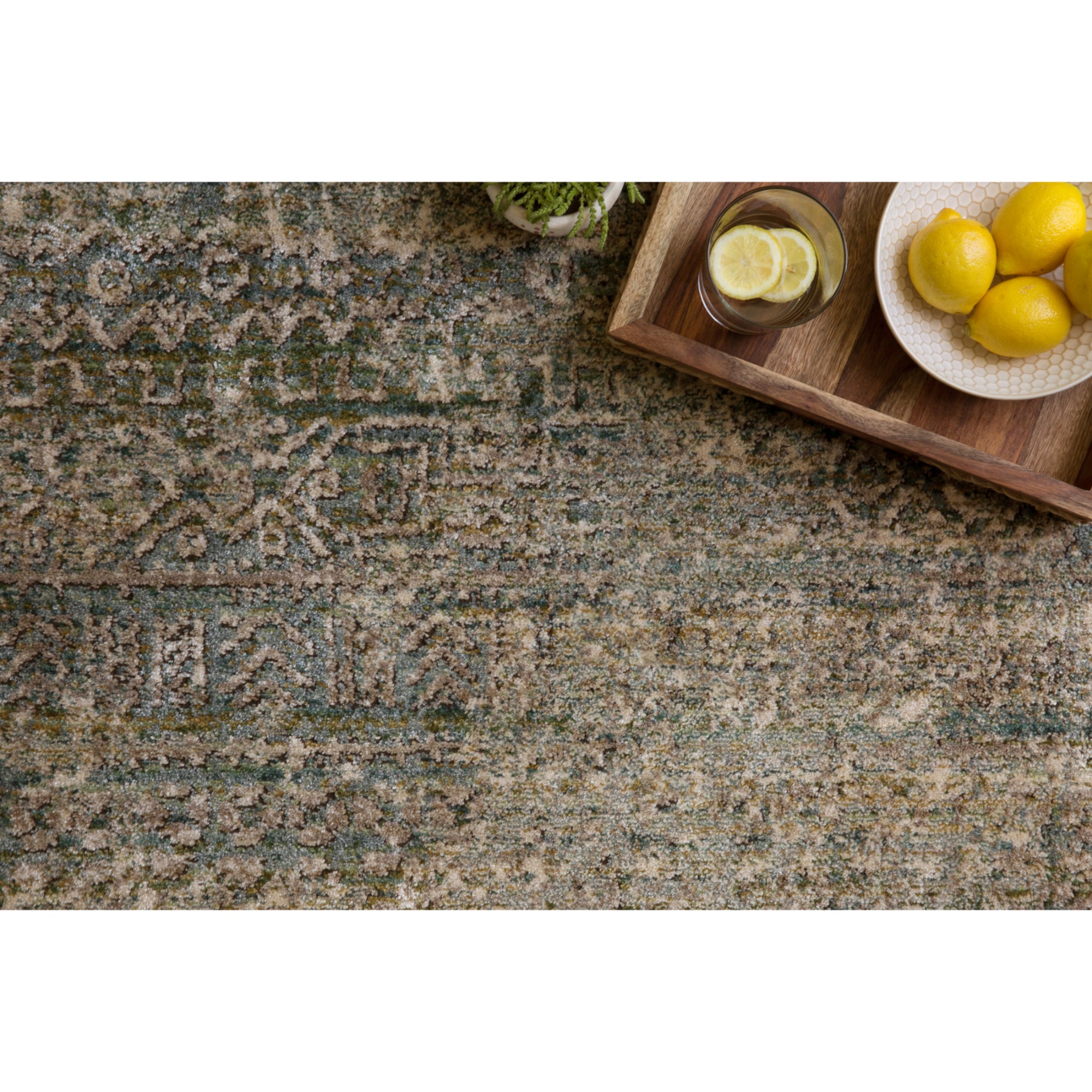 Loloi Javari Ivory/Sea Rug