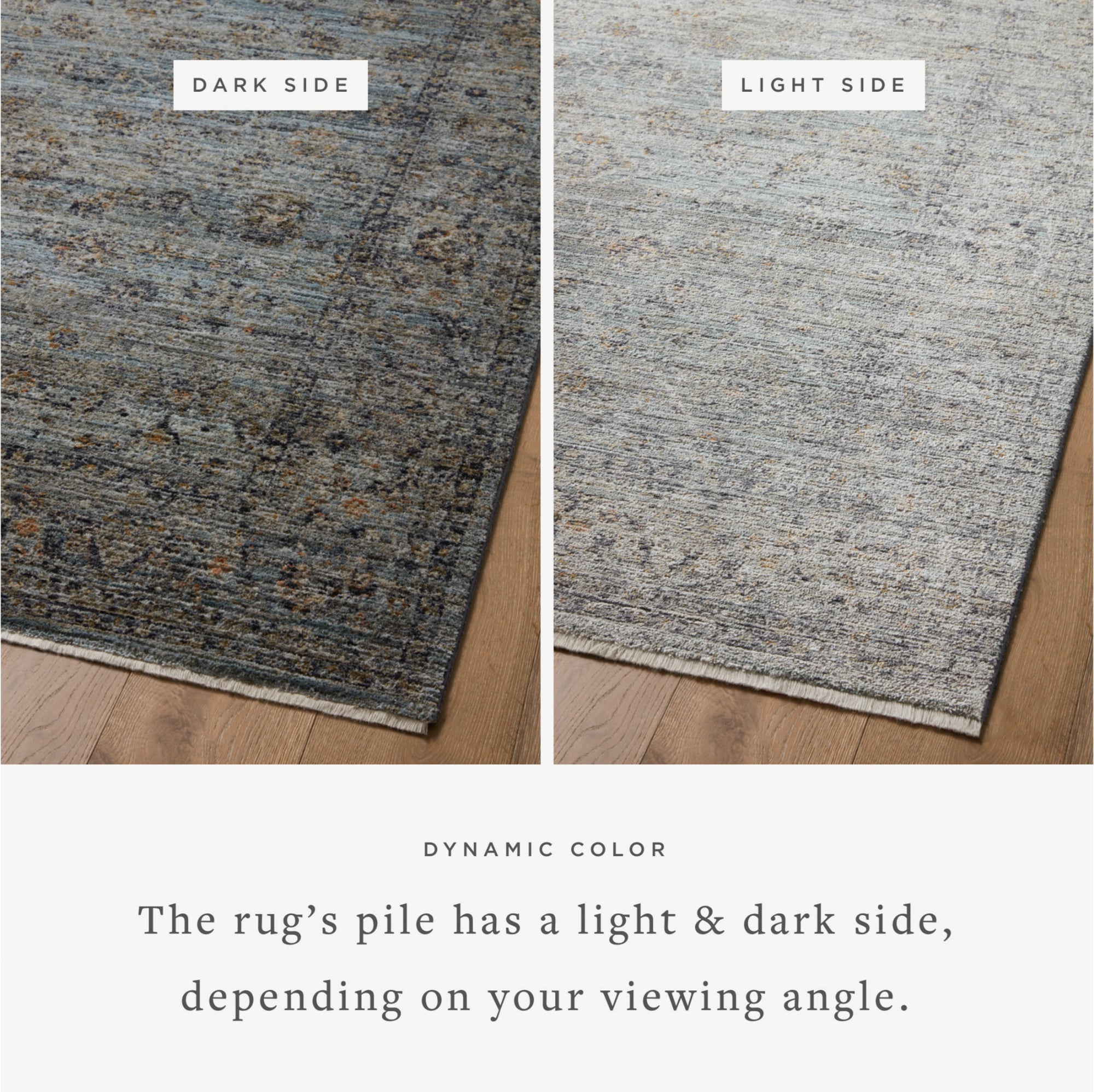 Jean Stoffer x Loloi Katherine Ocean/Gold Rug