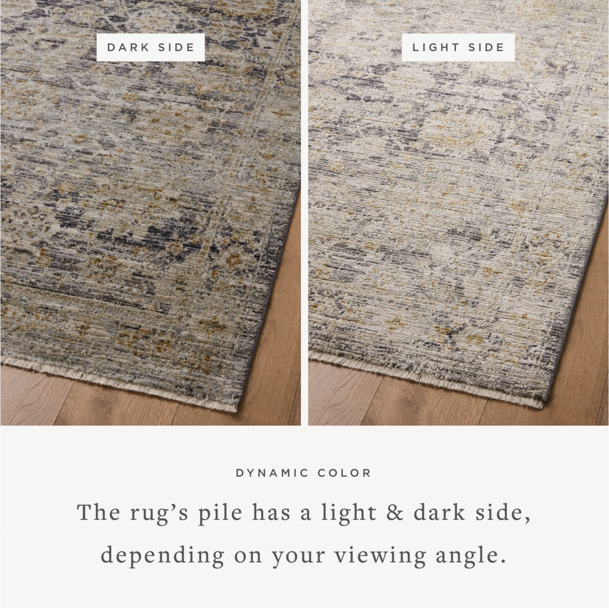 Jean Stoffer x Loloi Katherine Charcoal/Gold Rug