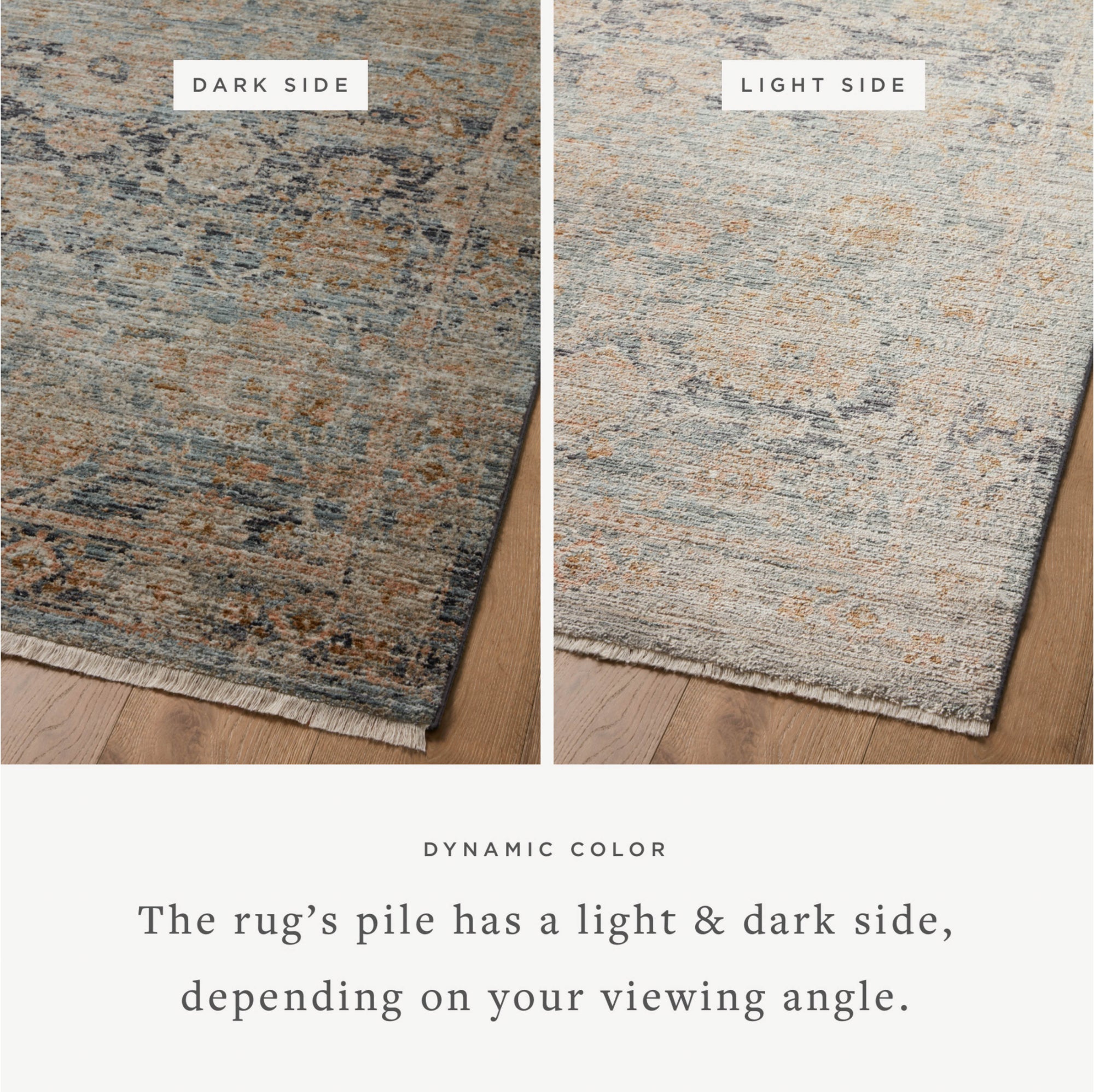 Jean Stoffer x Loloi Katherine Ocean/Coral Rug