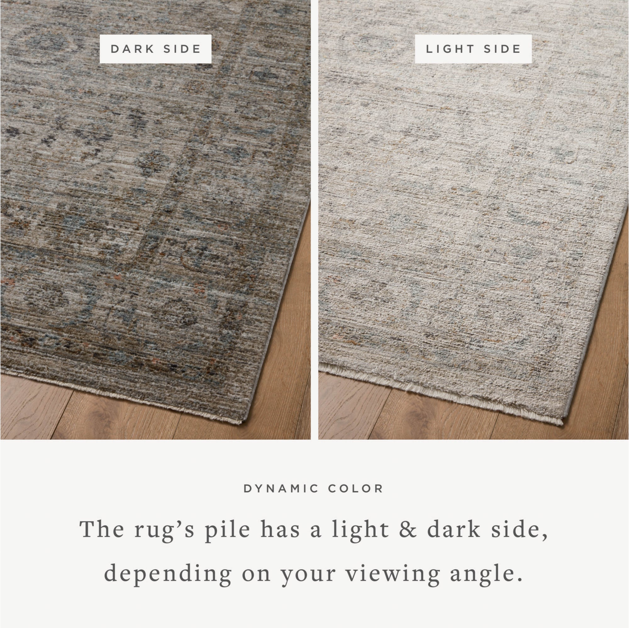 Jean Stoffer x Loloi Katherine Beige/Mist Rug