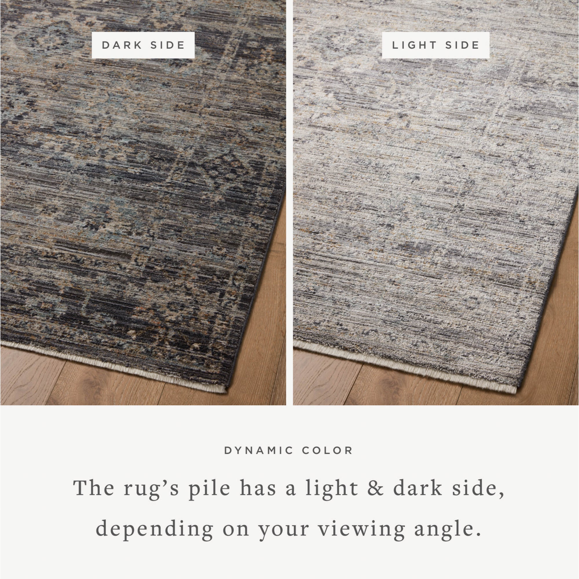 Jean Stoffer x Loloi Katherine Graphite/Jade Rug