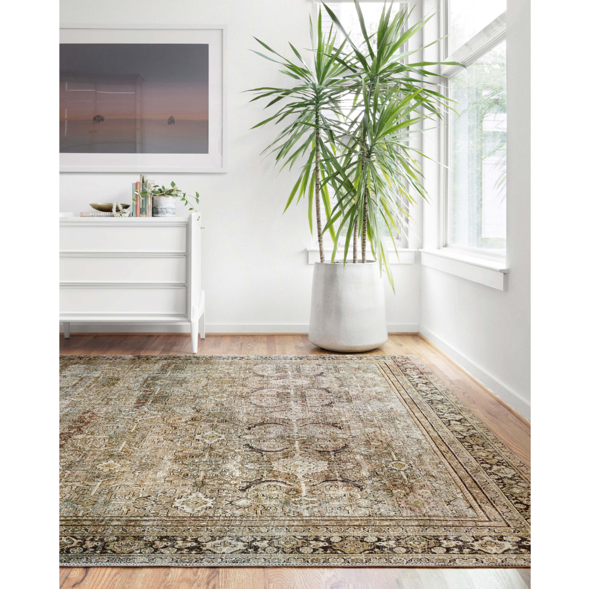 Loloi Layla Olive/Charcoal Rug
