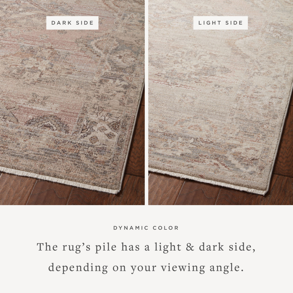 Loloi Lyra Blush/Dove Rug by Loloi