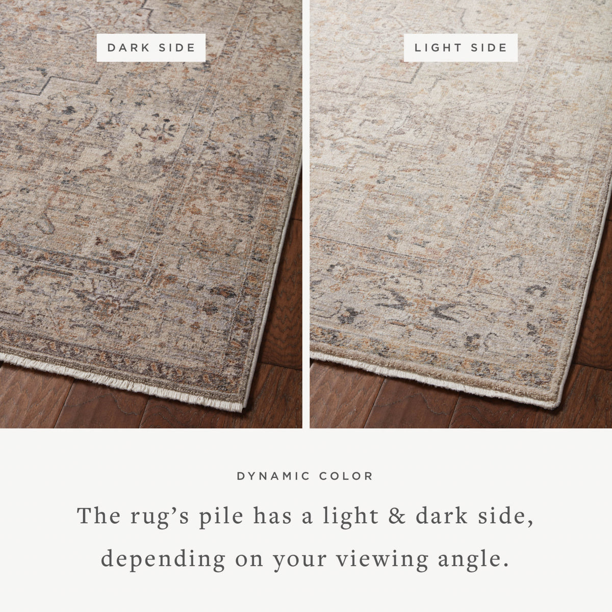 Loloi Lyra Natural/Gold Rug by Loloi