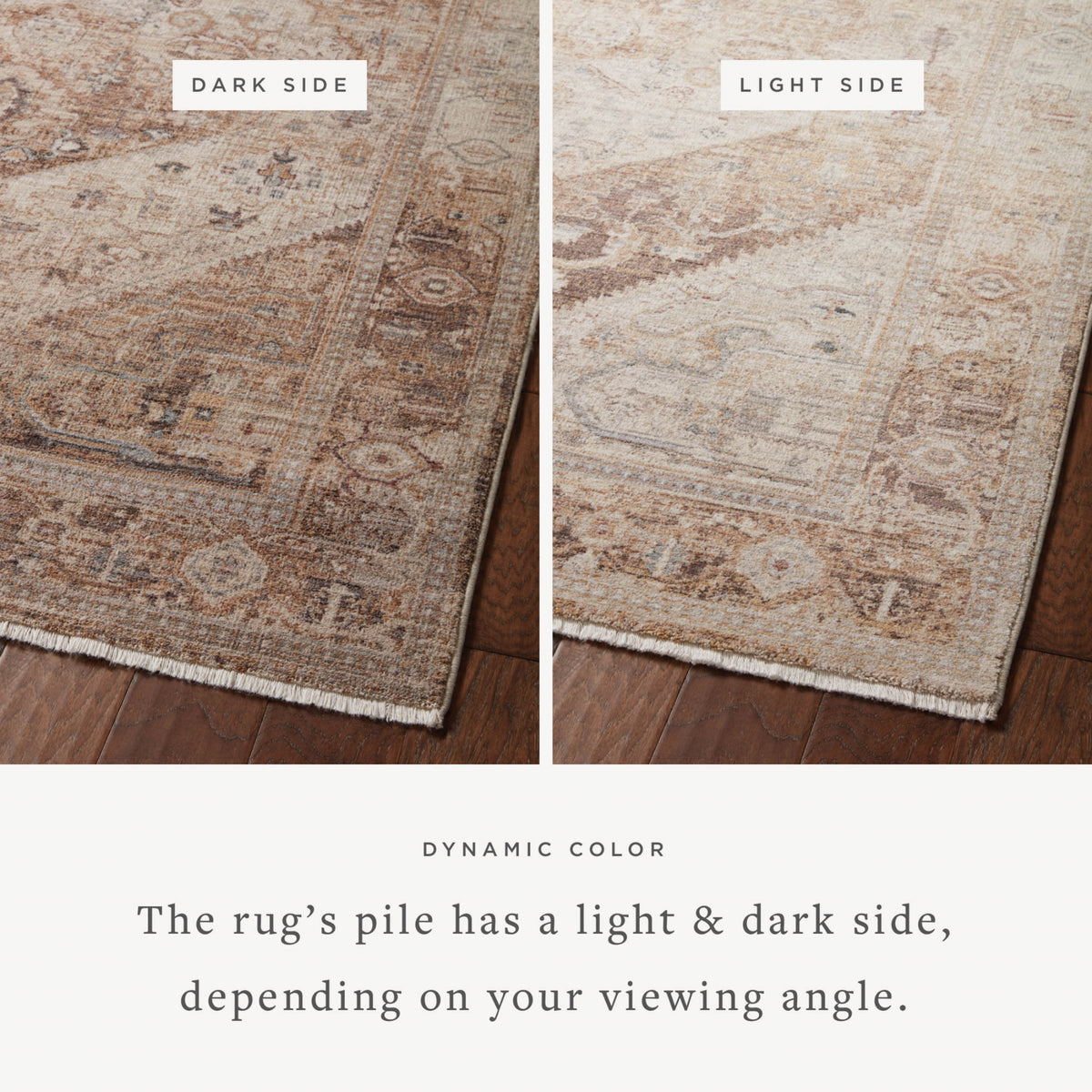 Loloi Lyra Natural/Mocha Rug by Loloi