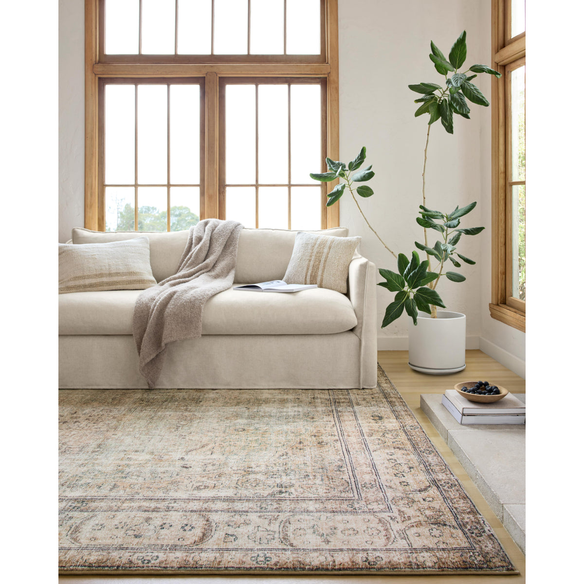 Loloi Margot MAT-01 Antique/Sage Rug by Loloi