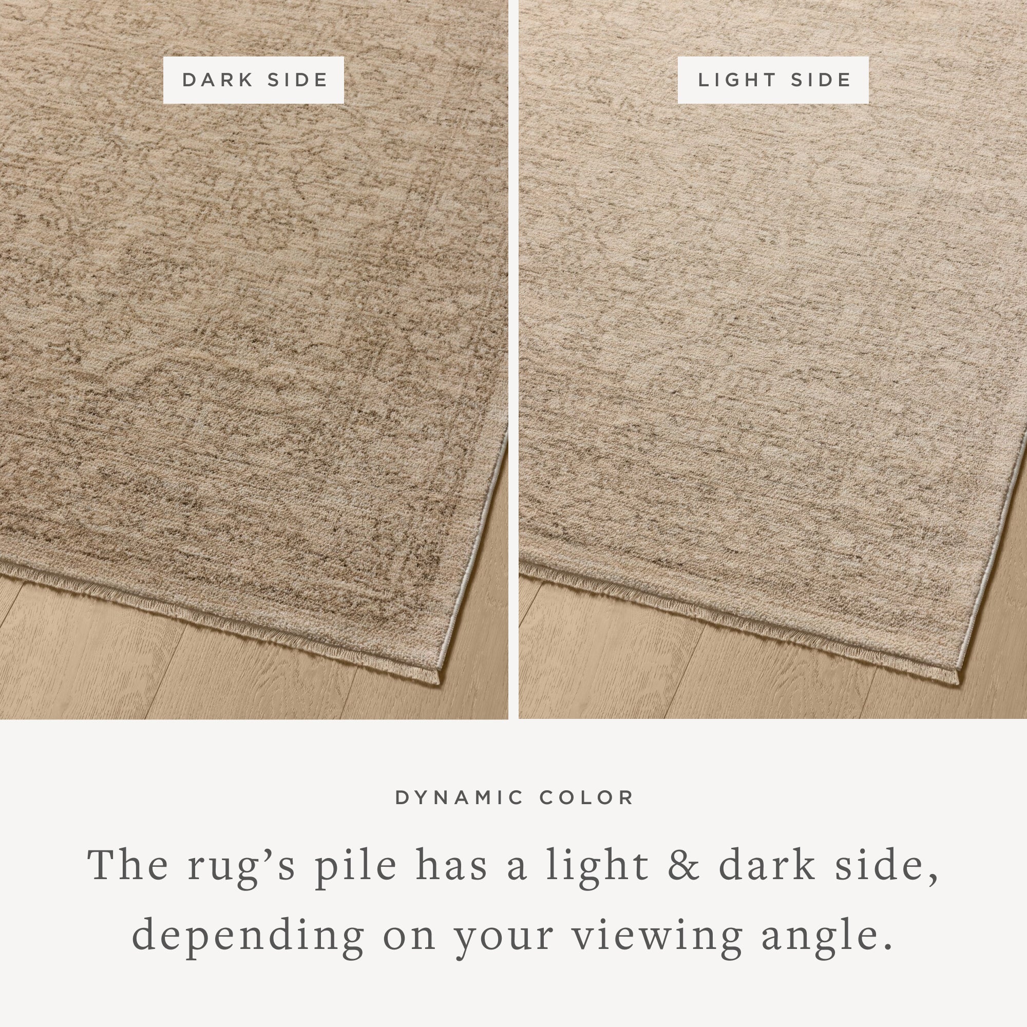 Loloi Newman Taupe/Bone Rug
