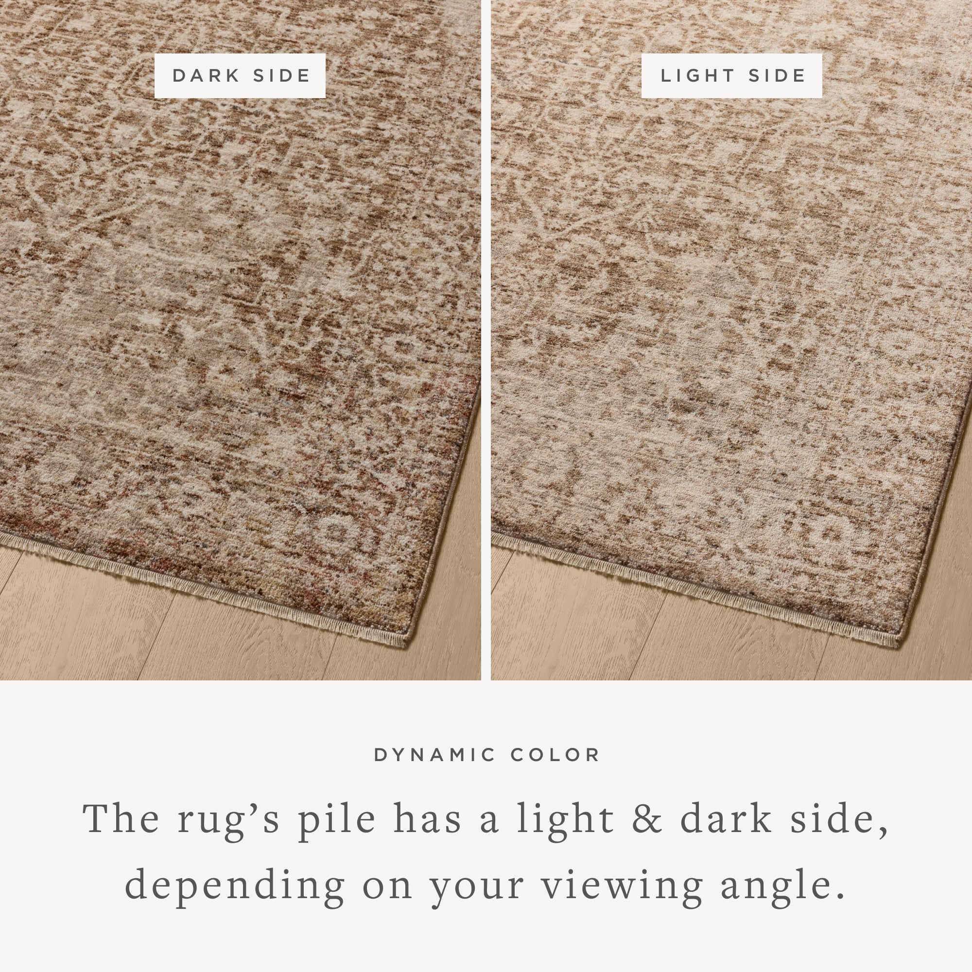 Loloi Newman Bark/Natural Rug