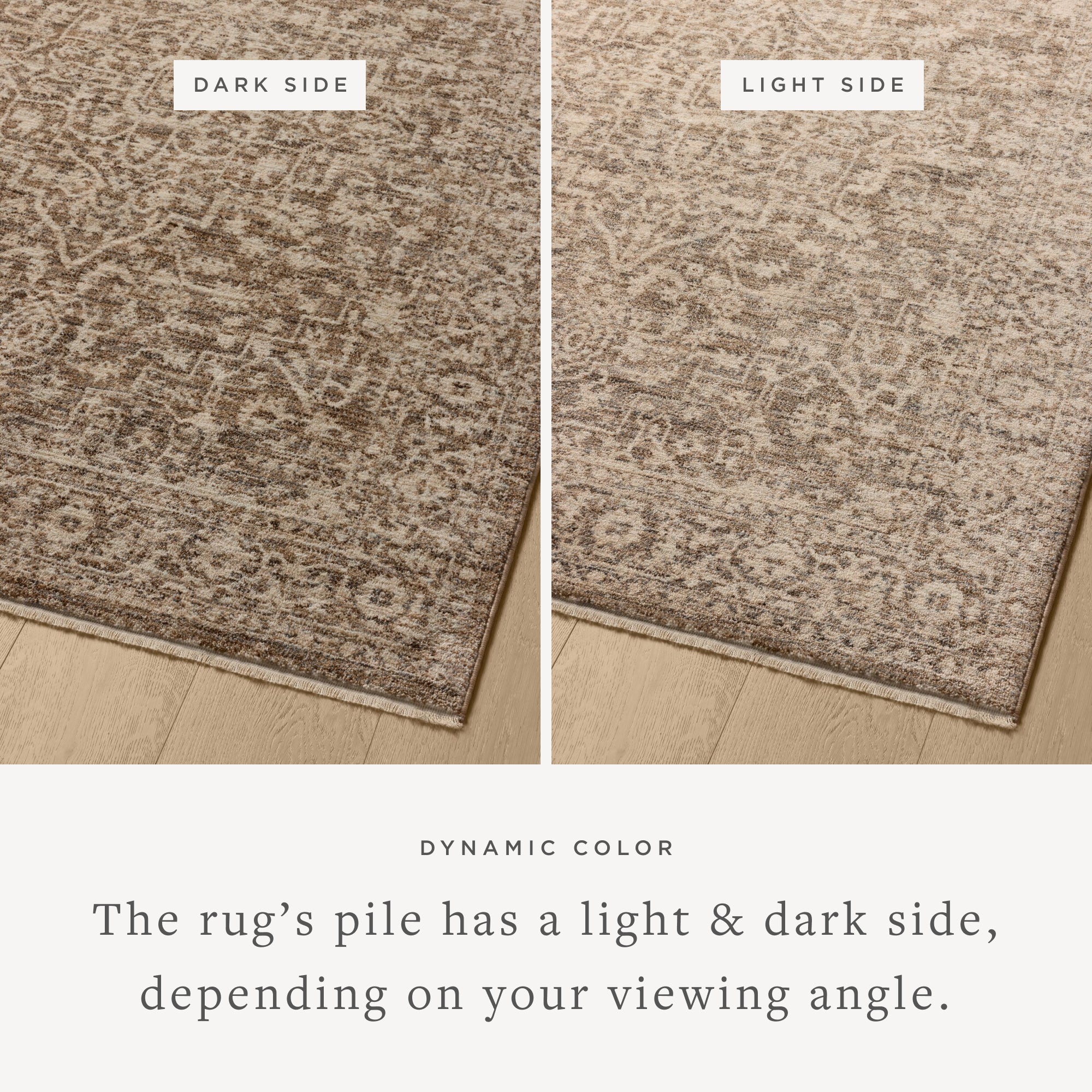 Loloi Newman Dark Taupe/Natural Rug