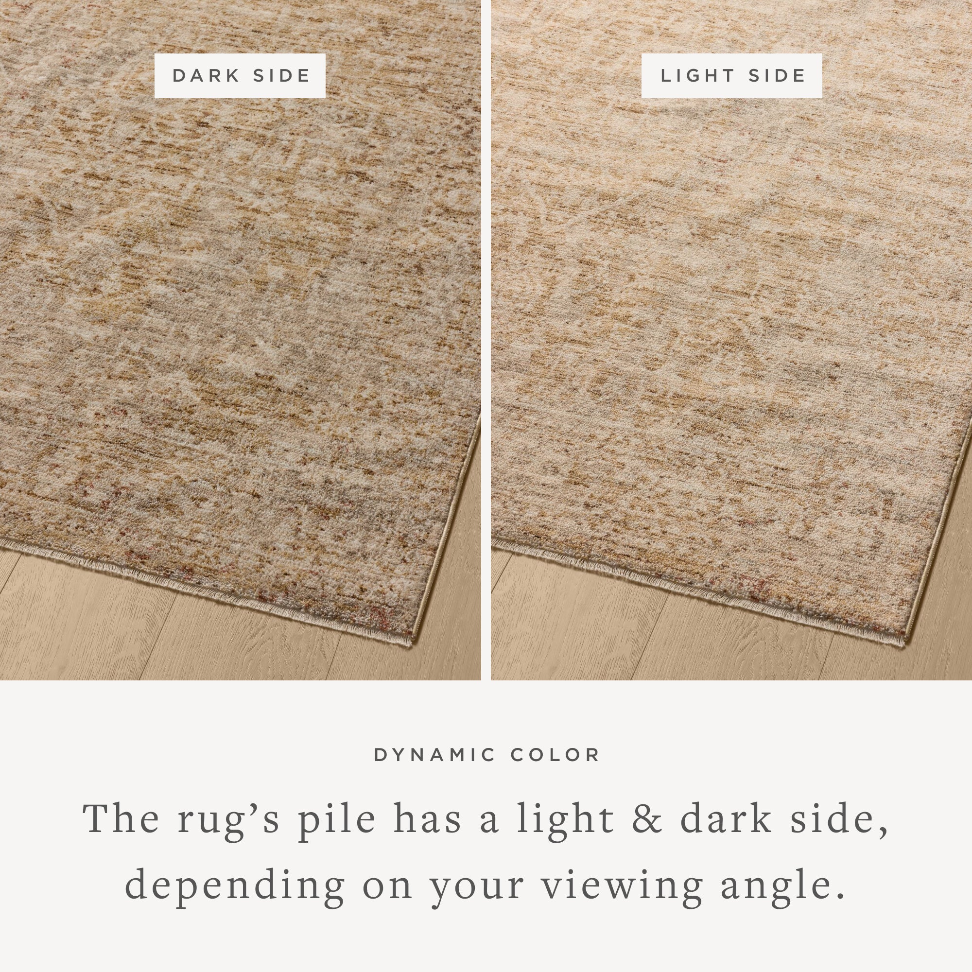 Loloi Newman Wheat/Natural Rug