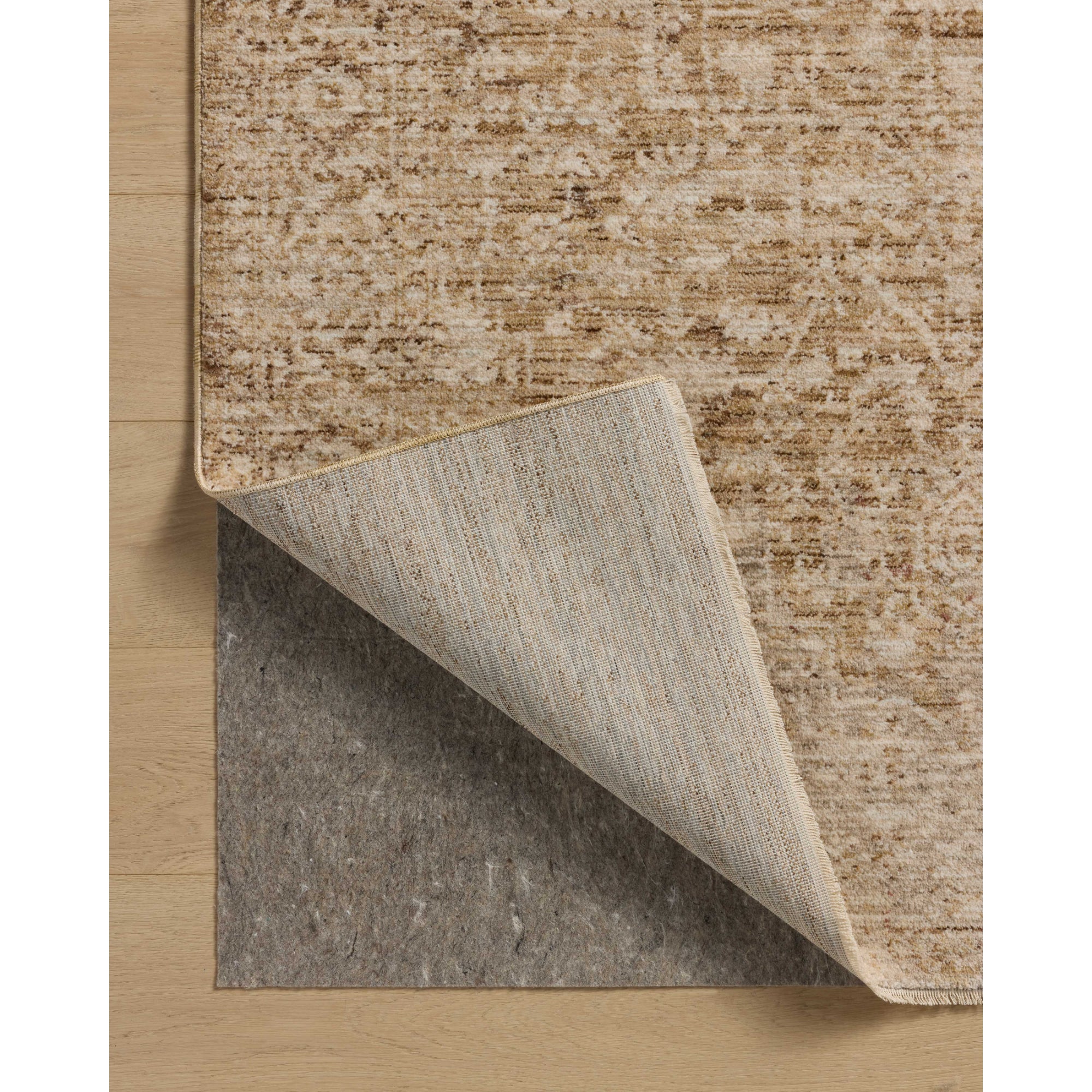 Loloi Newman Wheat/Natural Rug