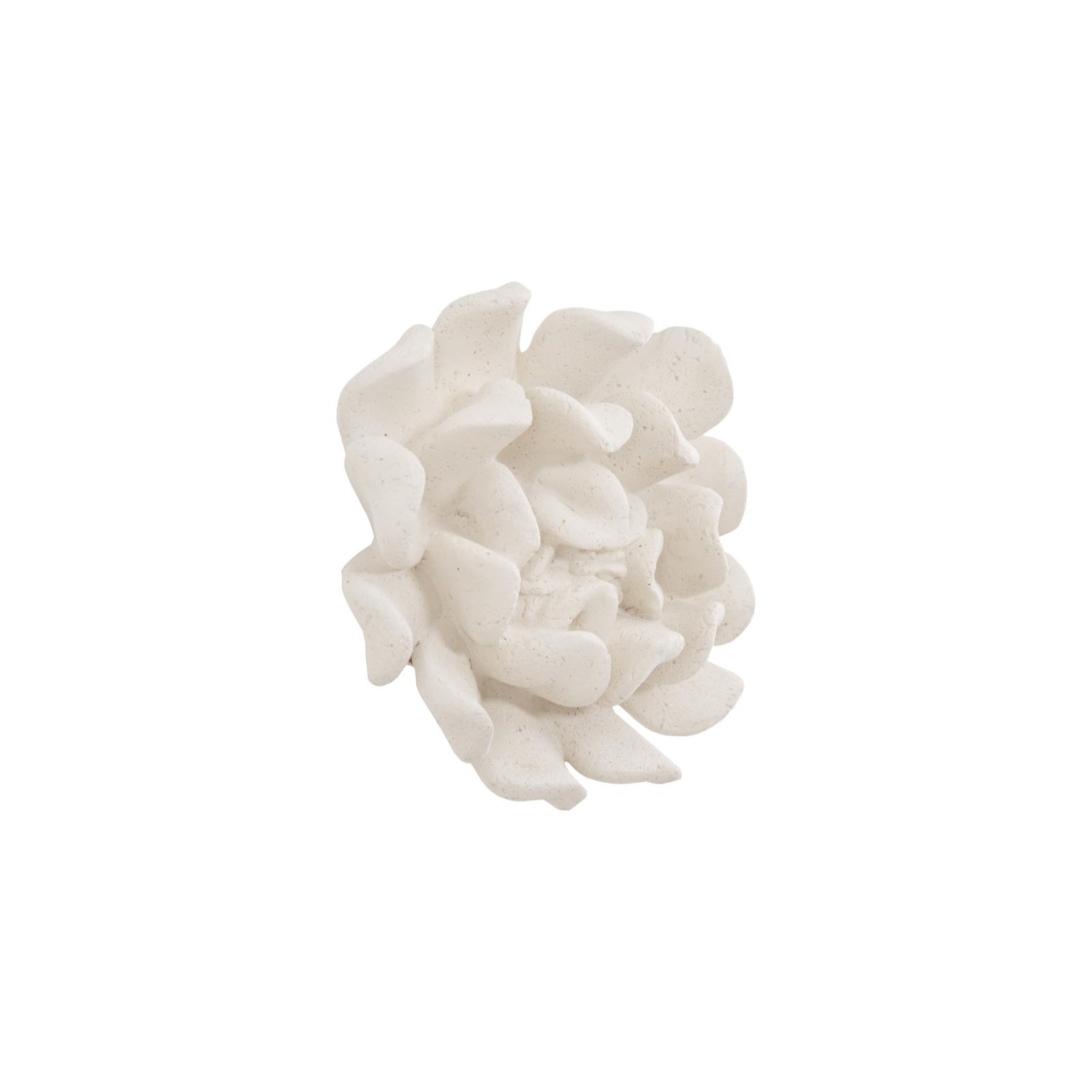 Topsy Turvy Succulent Wall Art
