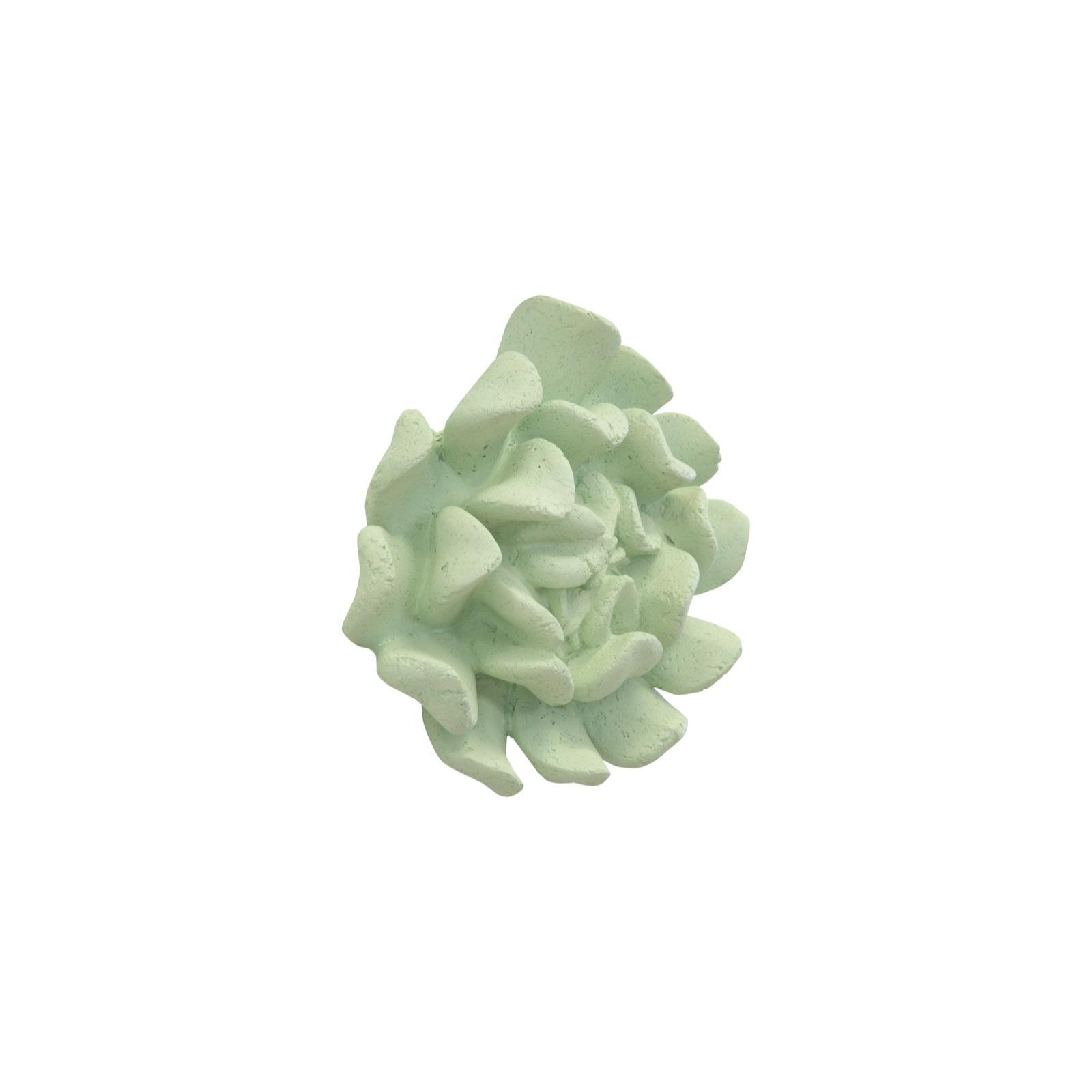 Topsy Turvy Succulent Wall Art