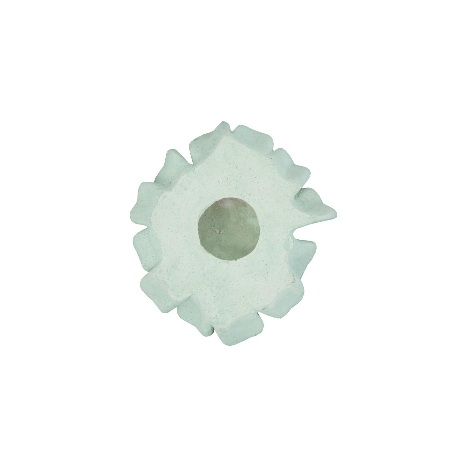 Topsy Turvy Succulent Wall Art