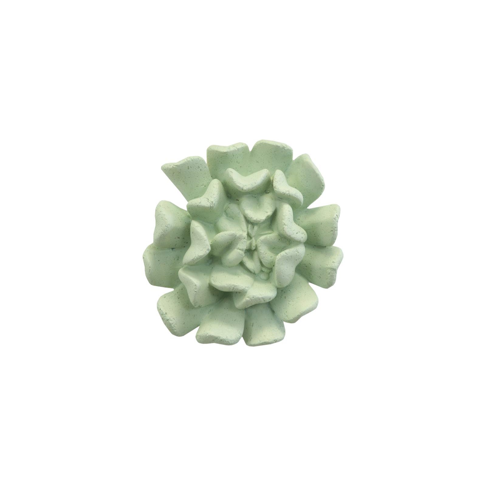 Topsy Turvy Succulent Wall Art