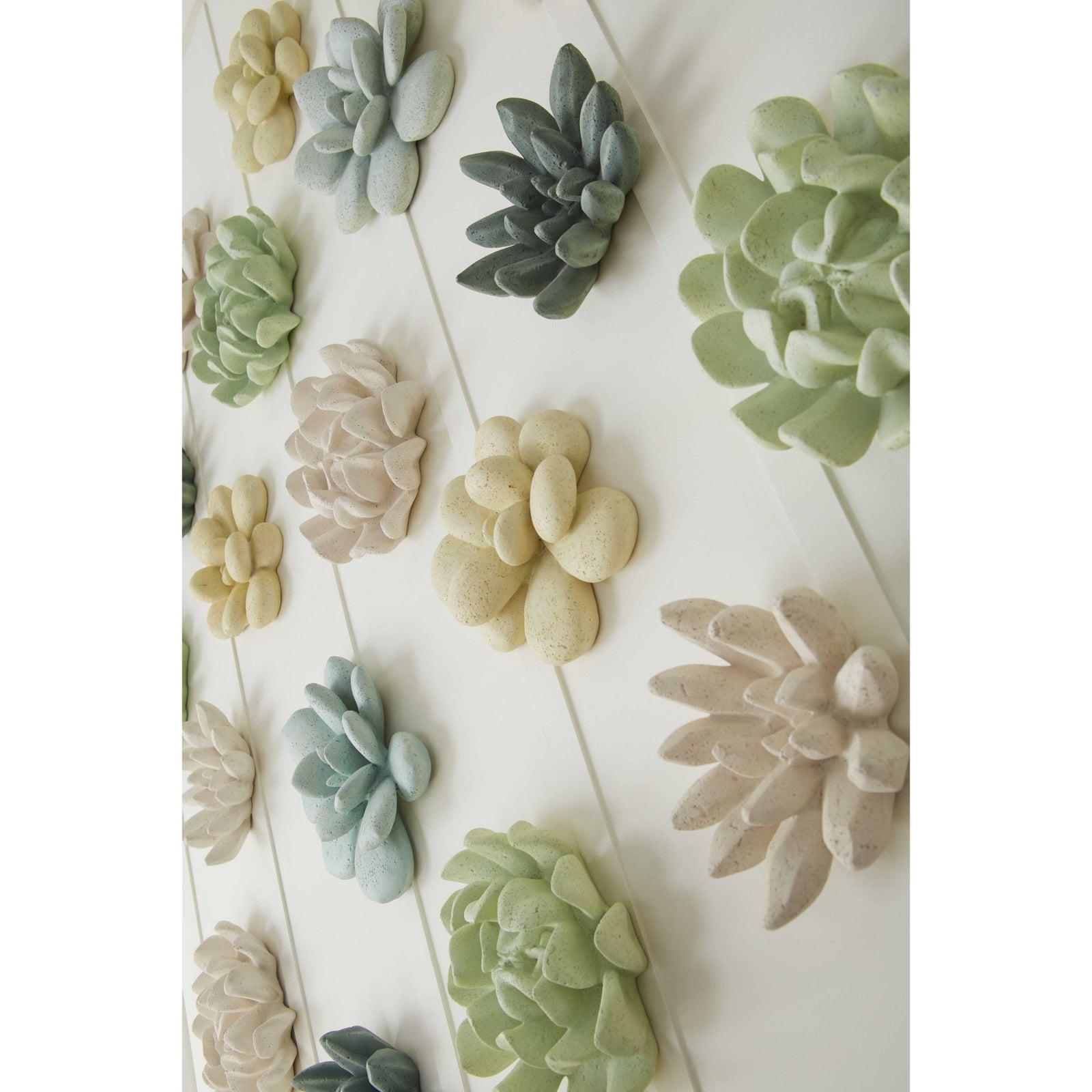 Oviferum Succulent Wall Art
