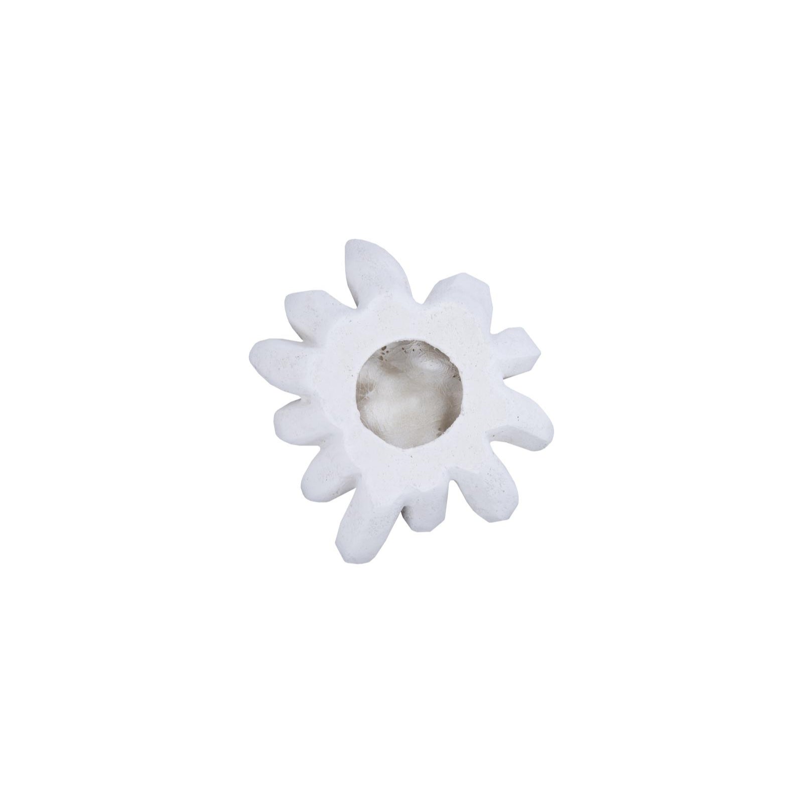 Compactum Succulent Wall Art
