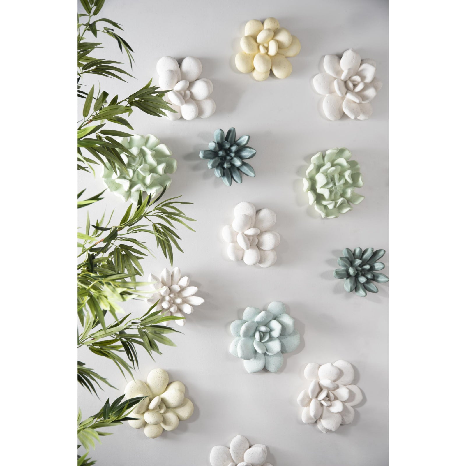 Compactum Succulent Wall Art
