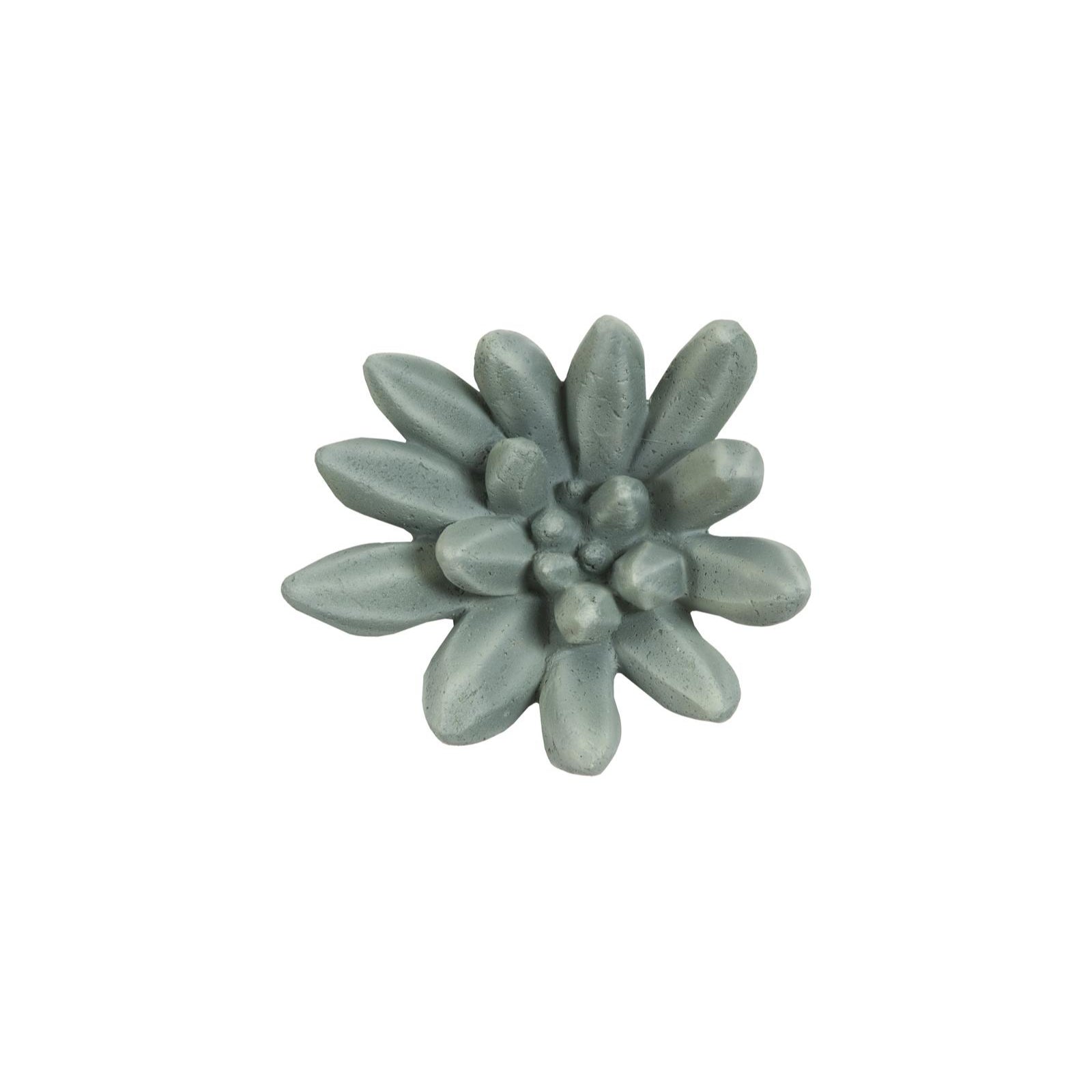 Compactum Succulent Wall Art