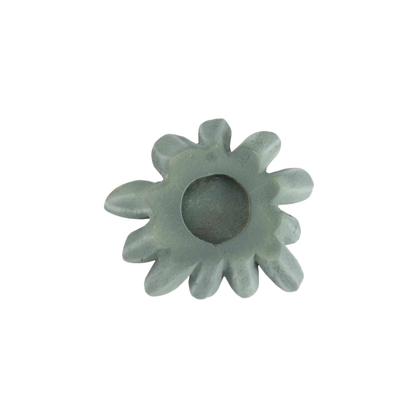 Compactum Succulent Wall Art