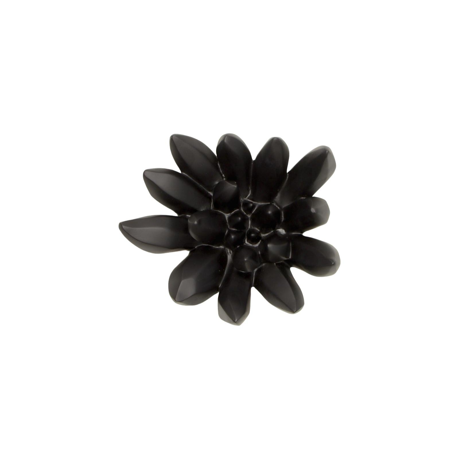 Compactum Succulent Wall Art