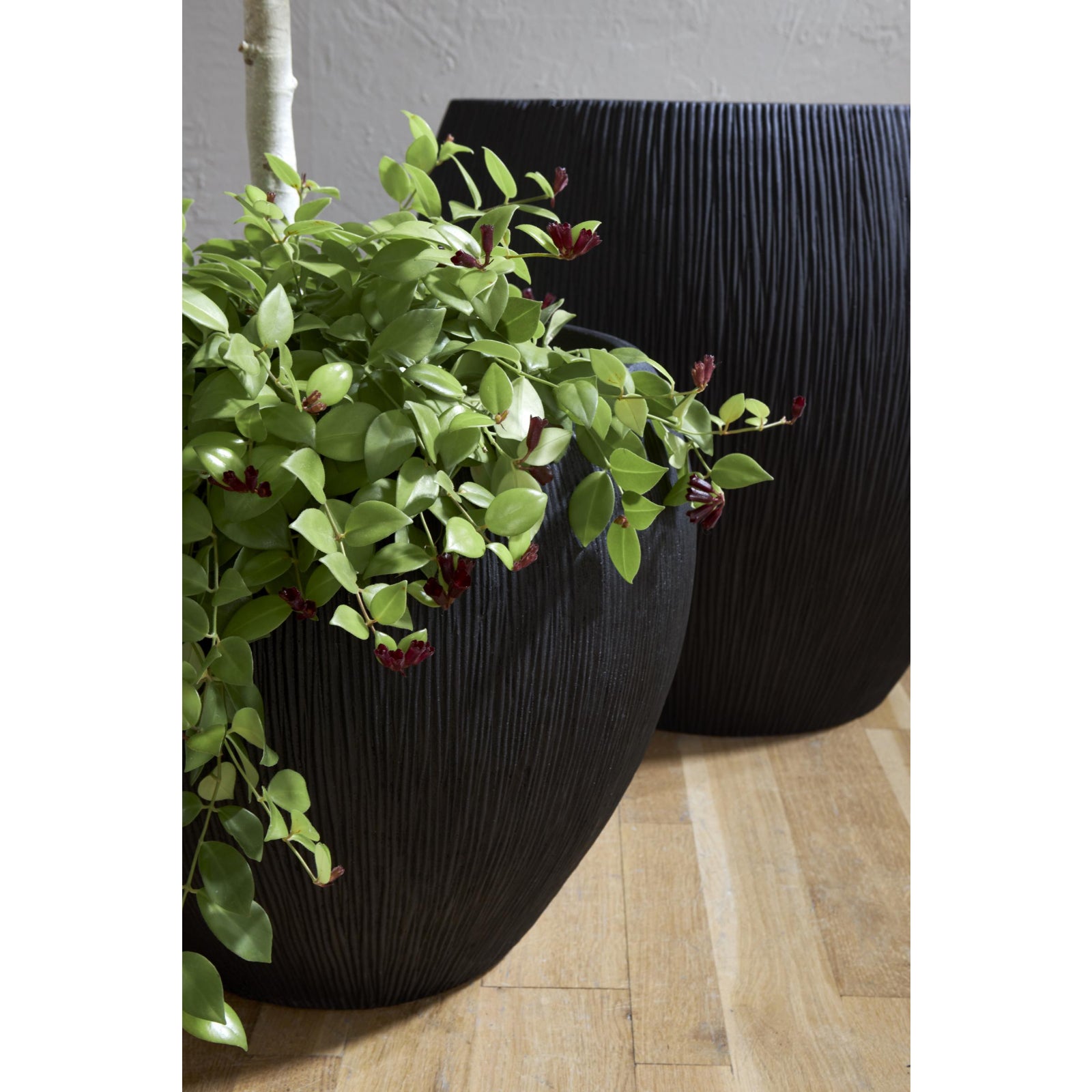 Filament Planter