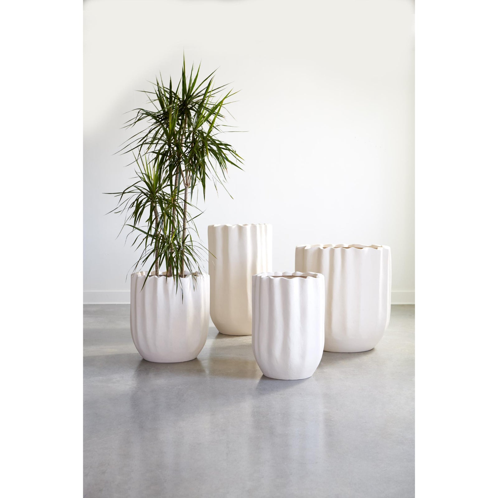 Tulip Flower Planter