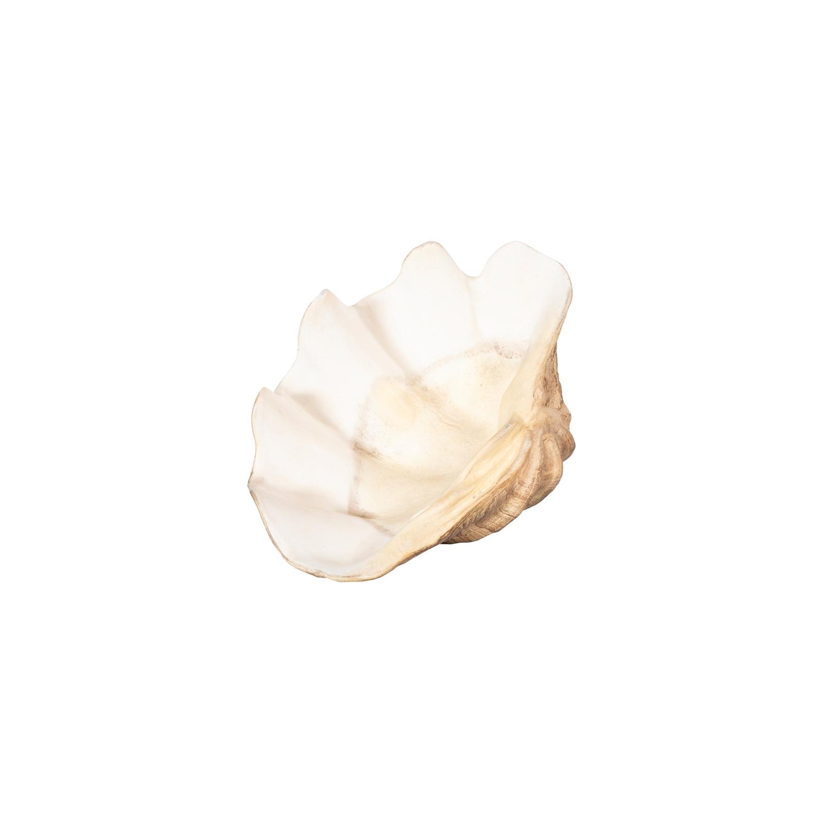 Cast Clam Shell Bowl - Faux Finish