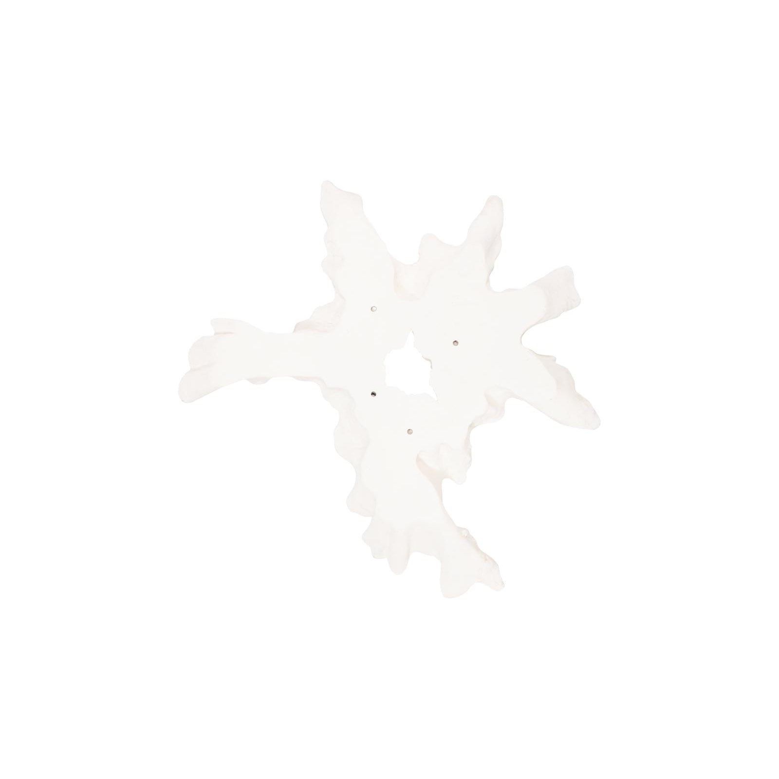 Contour Cast Root Flower Wall Art