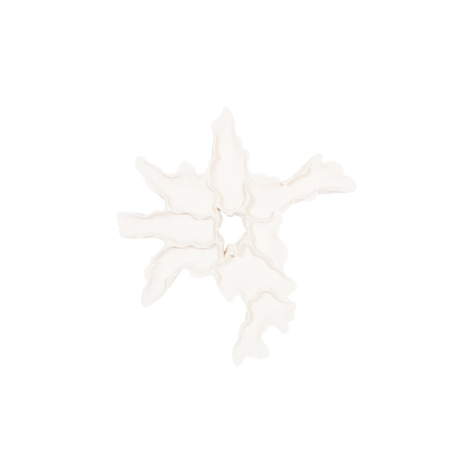Contour Cast Root Flower Wall Art