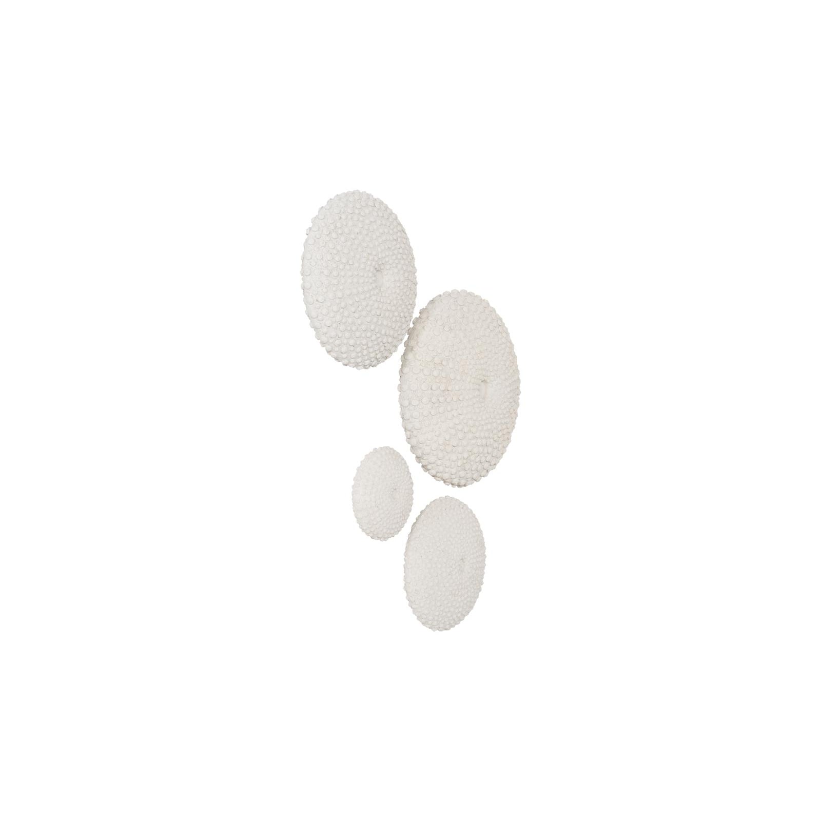 Sea Urchin Wall Art - Set of 4