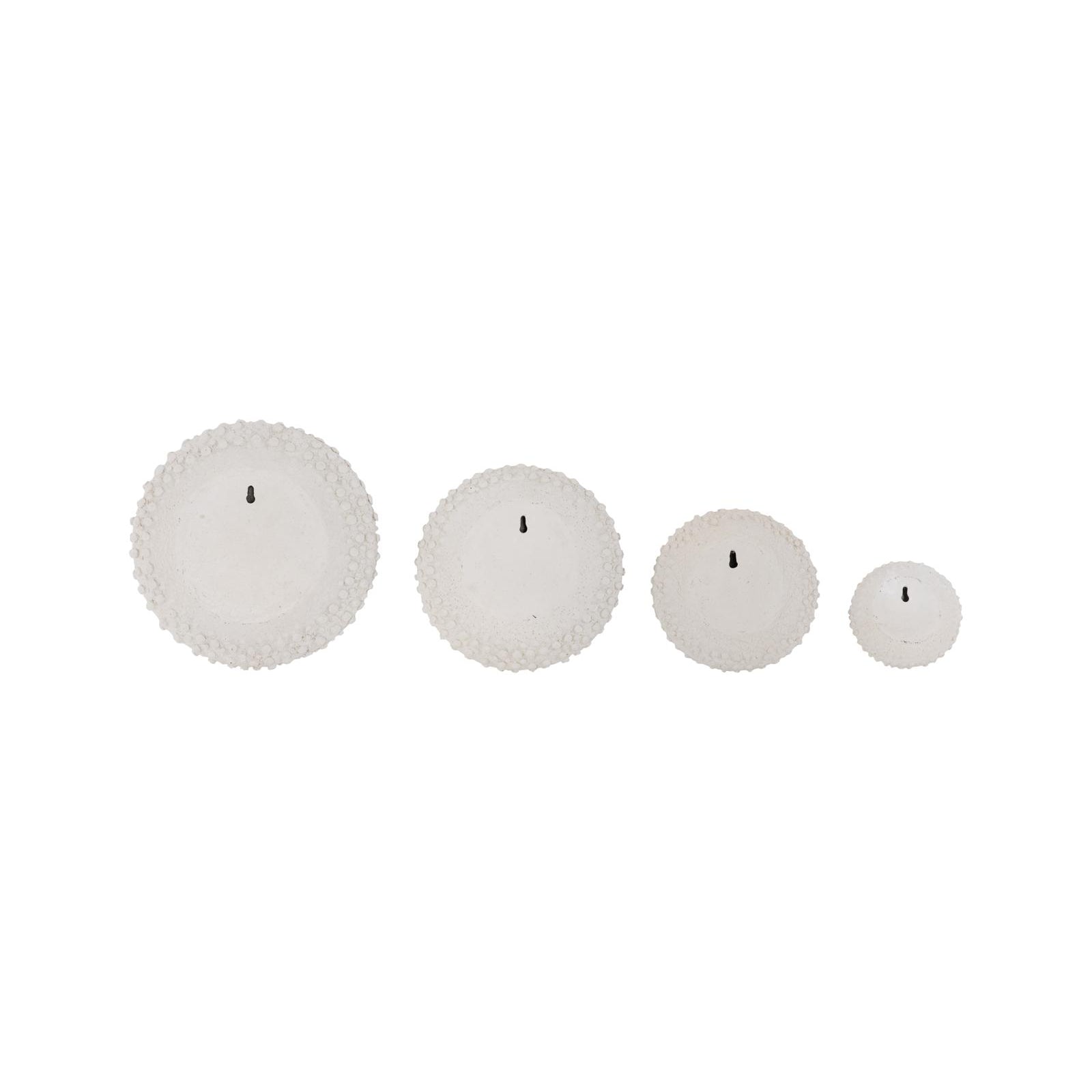 Sea Urchin Wall Art - Set of 4