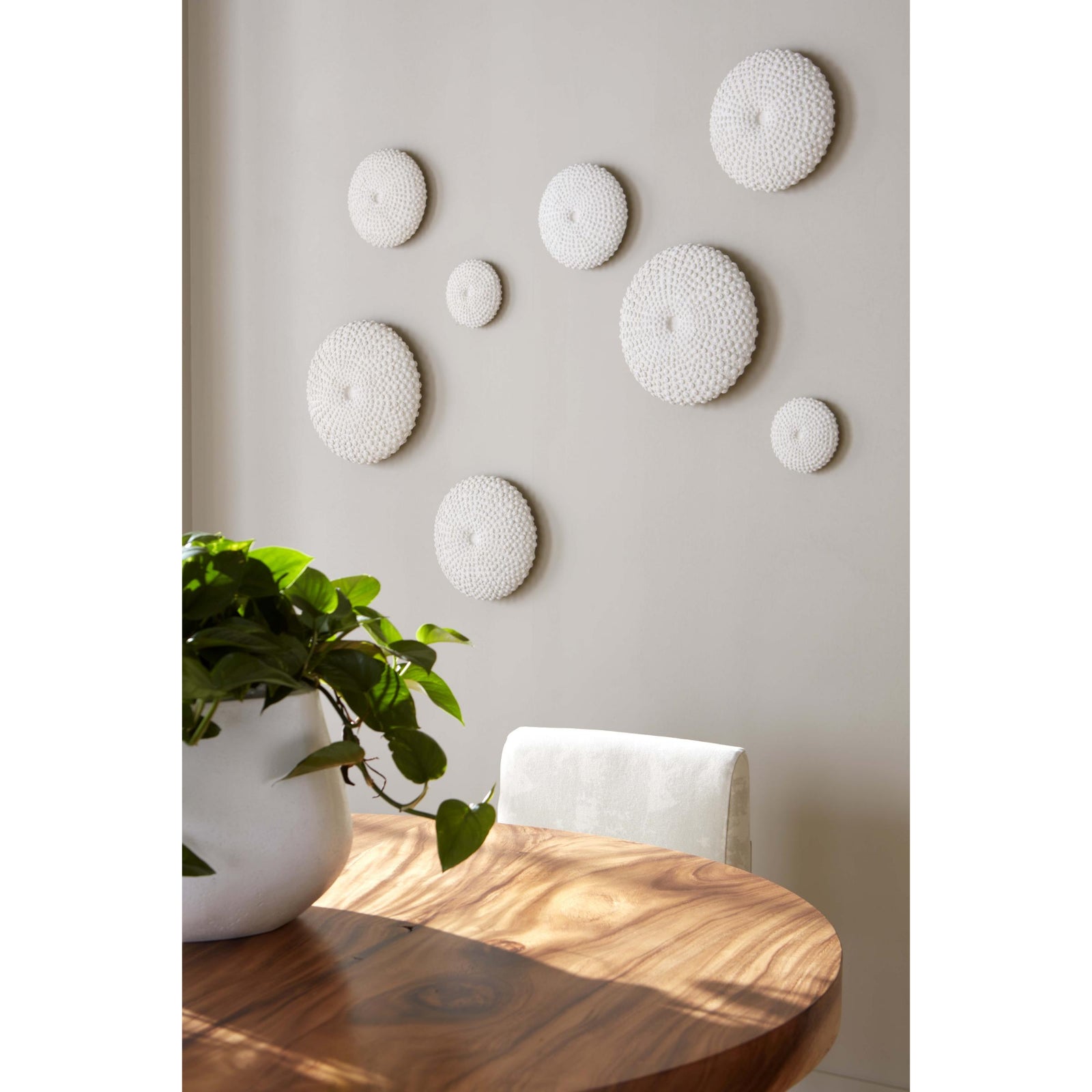 Sea Urchin Wall Art - Set of 4