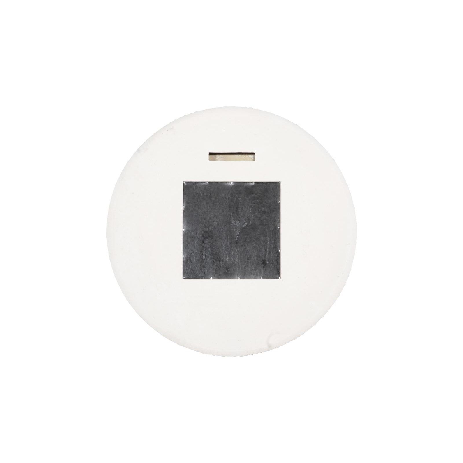 Sea Urchin Mirror