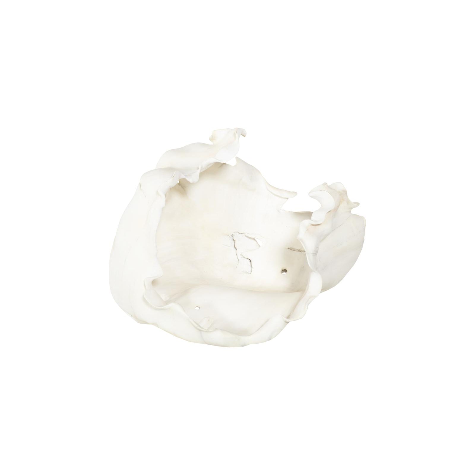 Cast Root Open Bowl