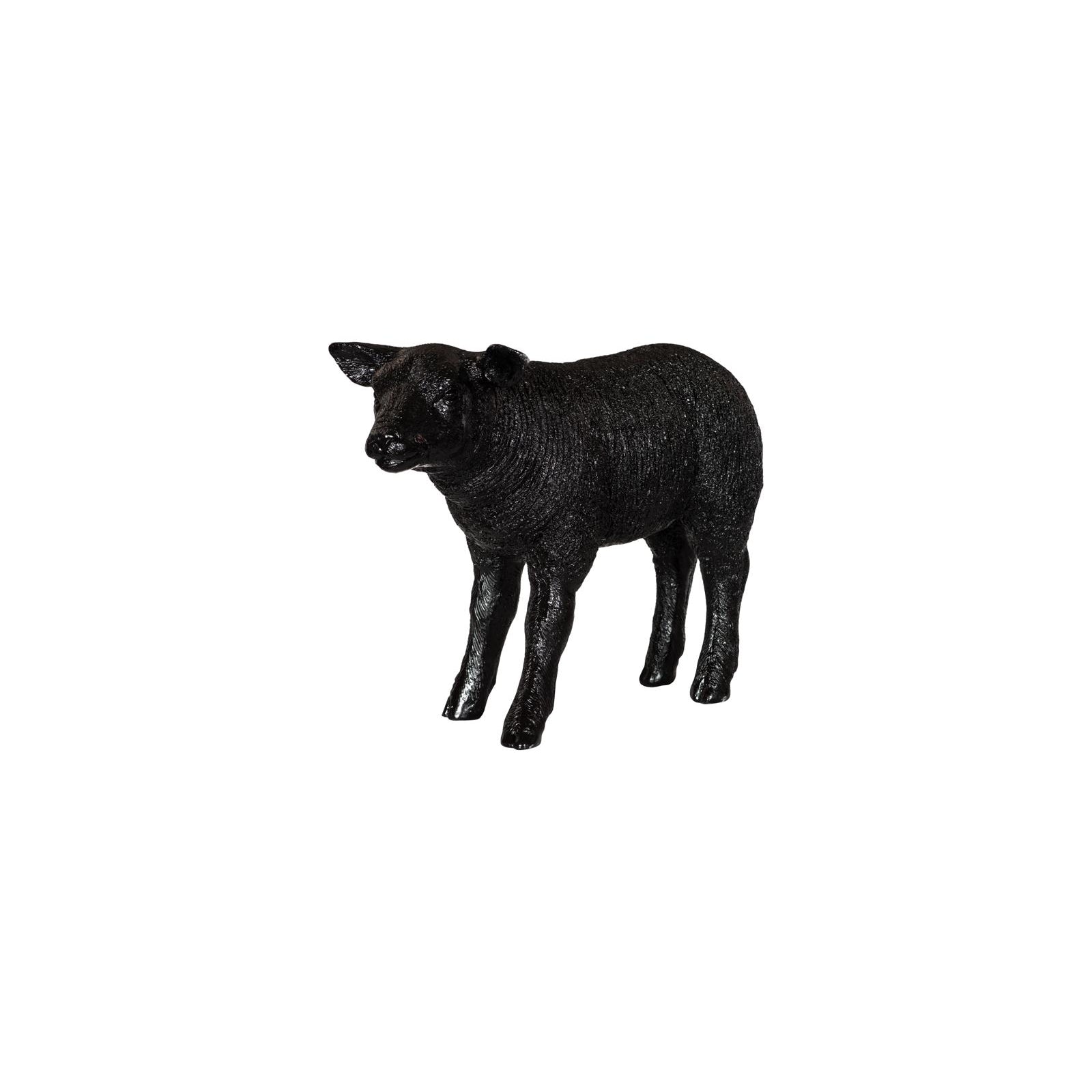 Texelaar Sheep