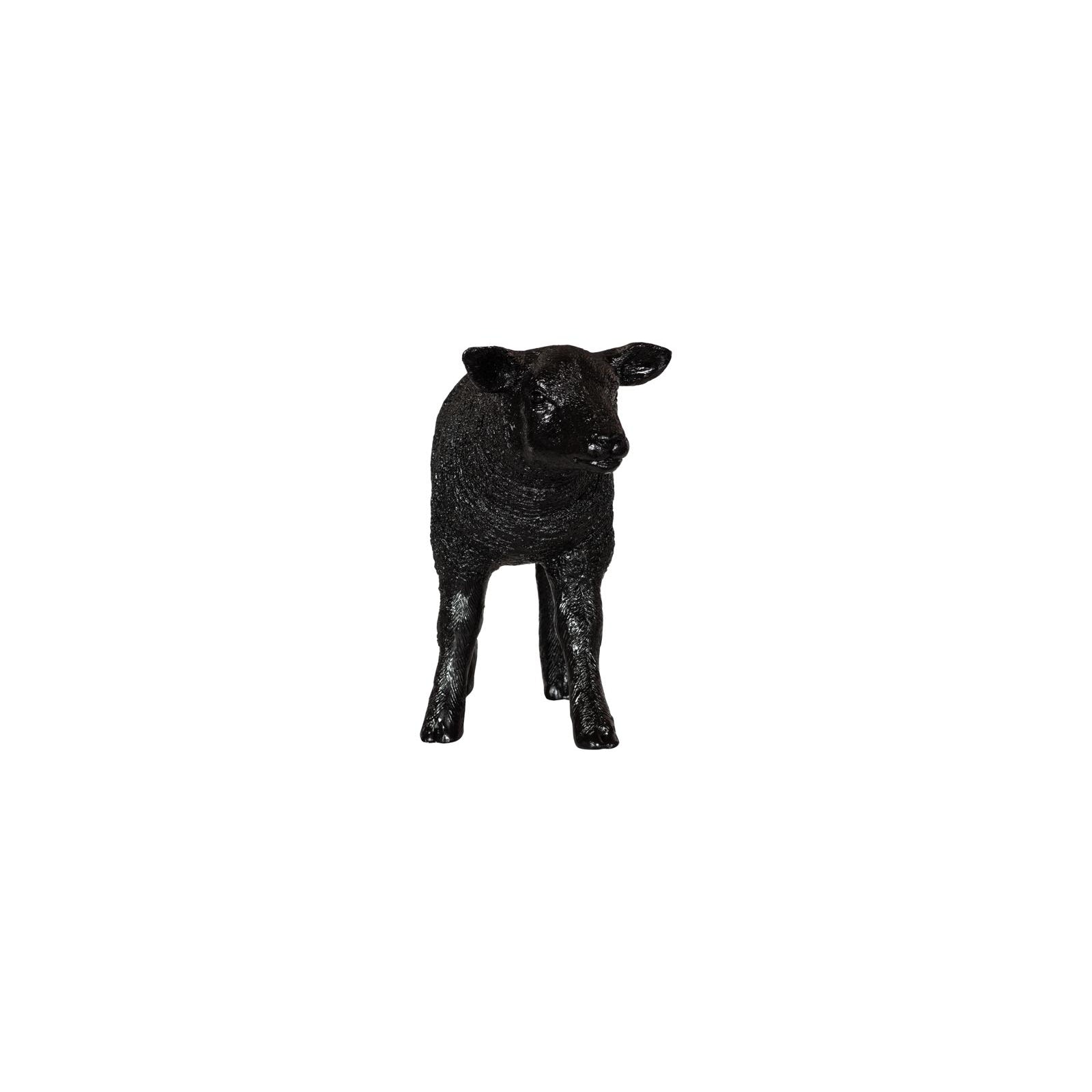 Texelaar Sheep