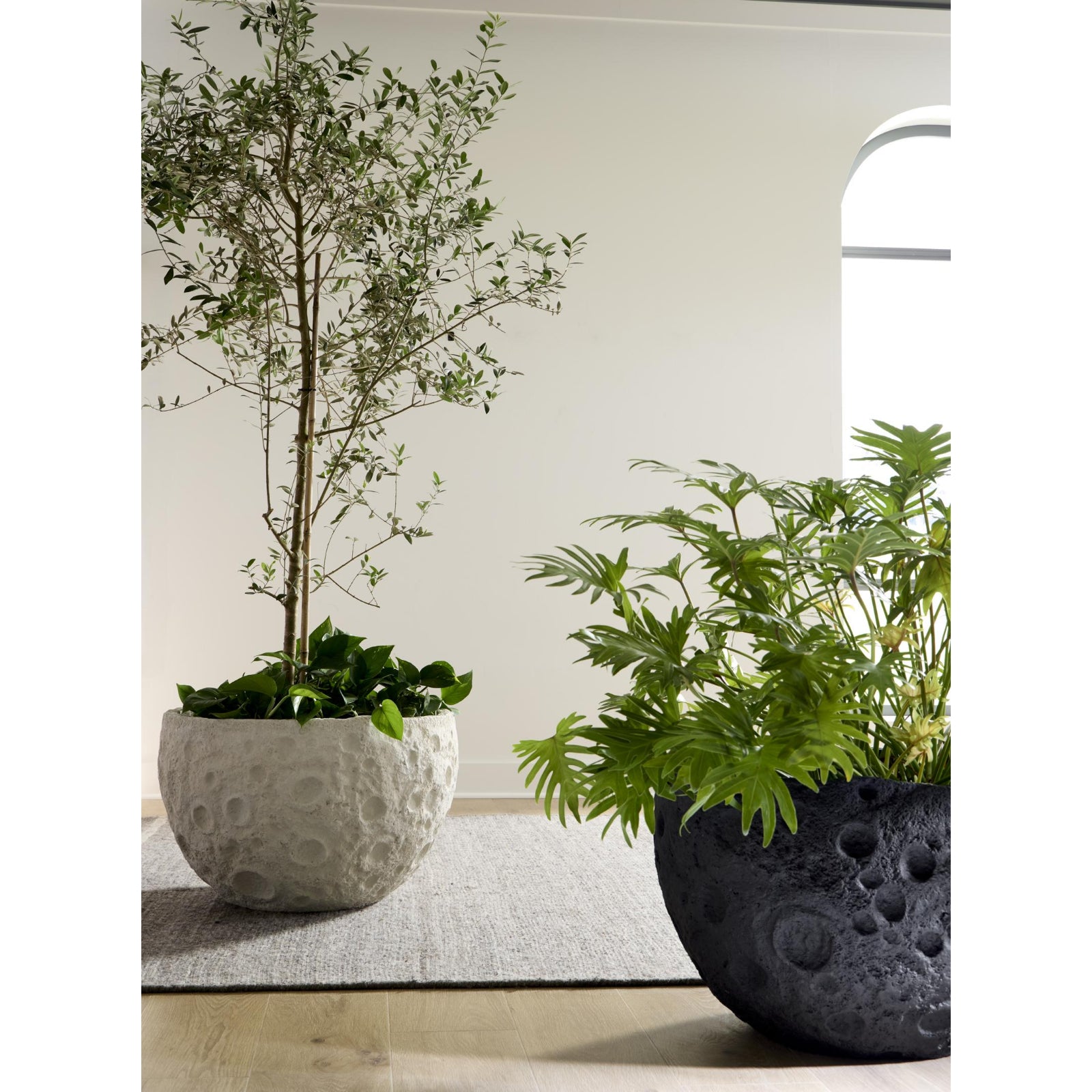 Crater Planter