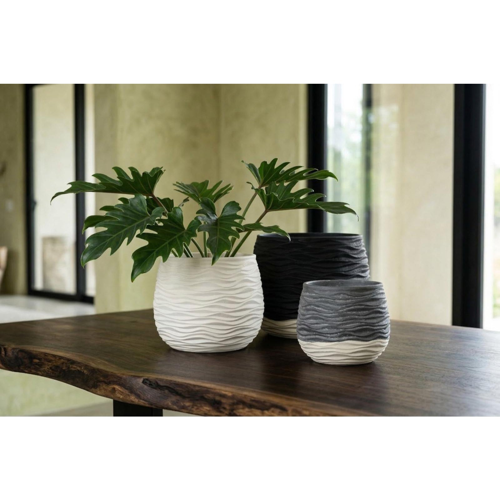 Wavy Two Tone Vase - Small