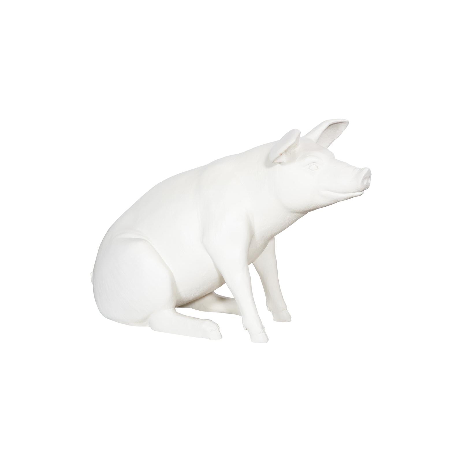 Happy Pig