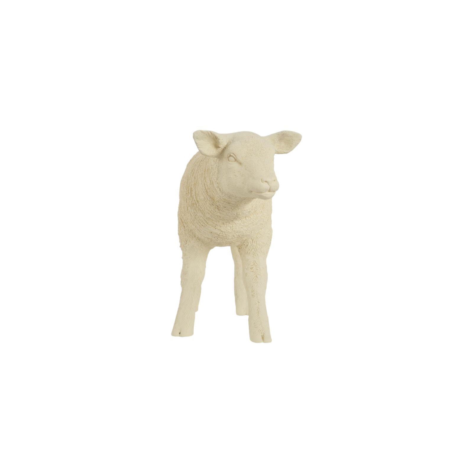 Texelaar Sheep